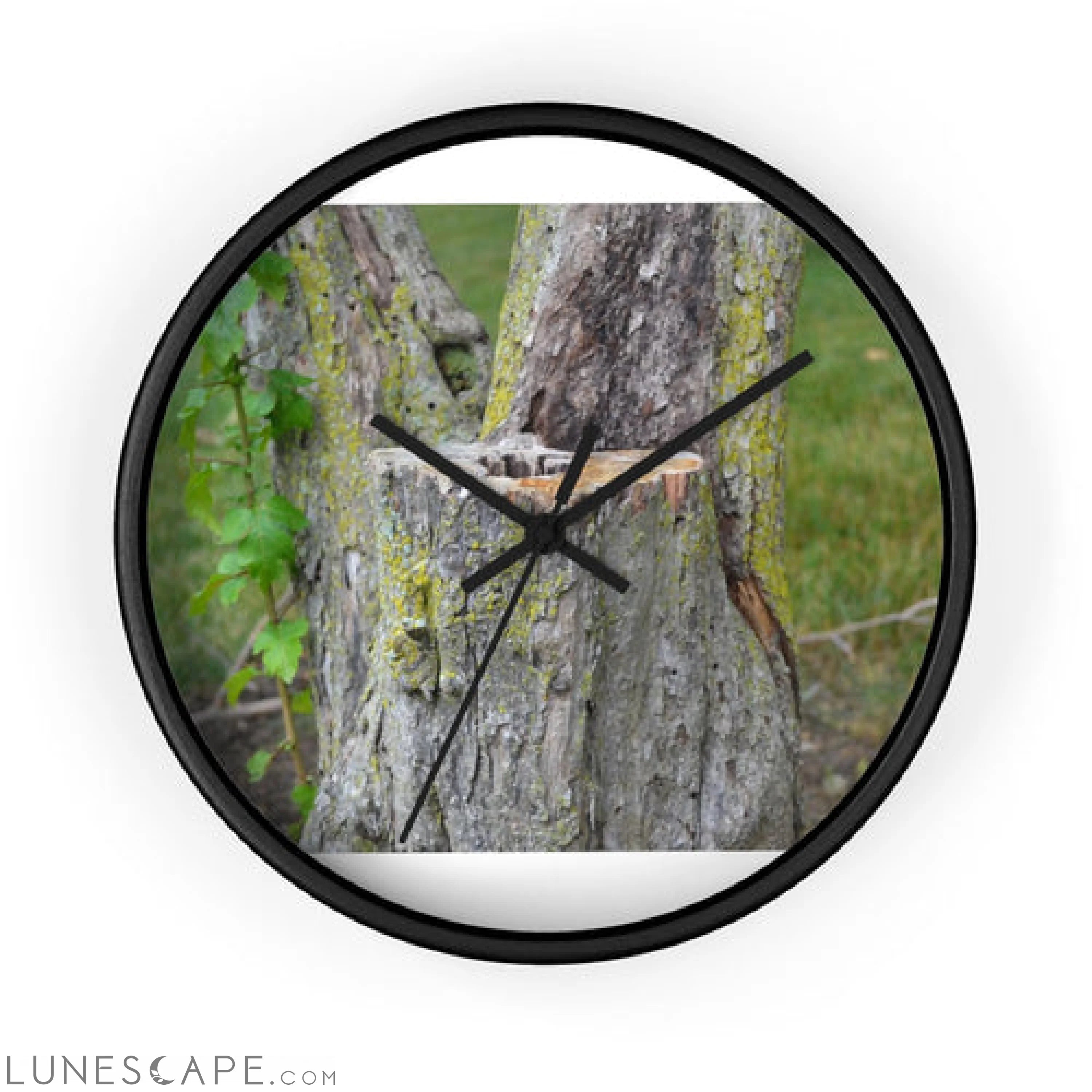 Tree Stump Wall clock LUNESCAPE