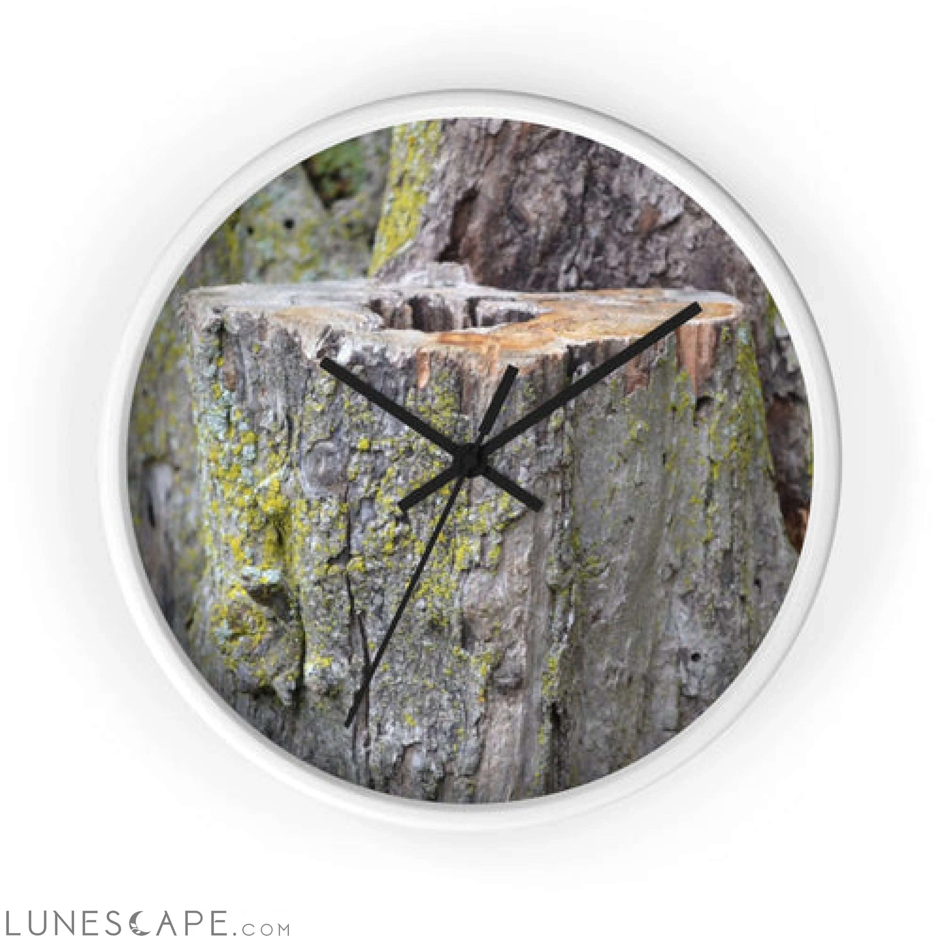 Tree Stump Wall clock LUNESCAPE
