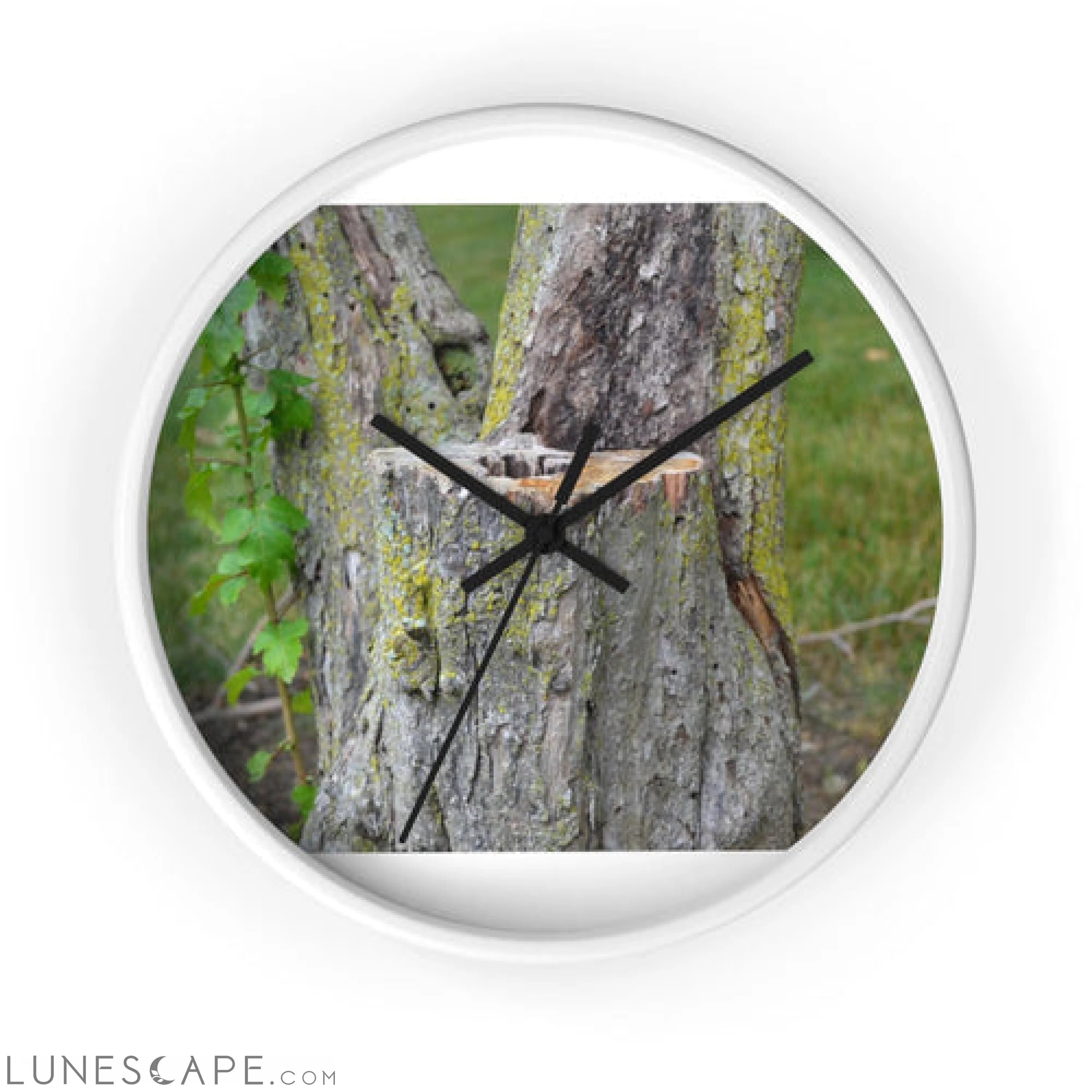 Tree Stump Wall clock LUNESCAPE