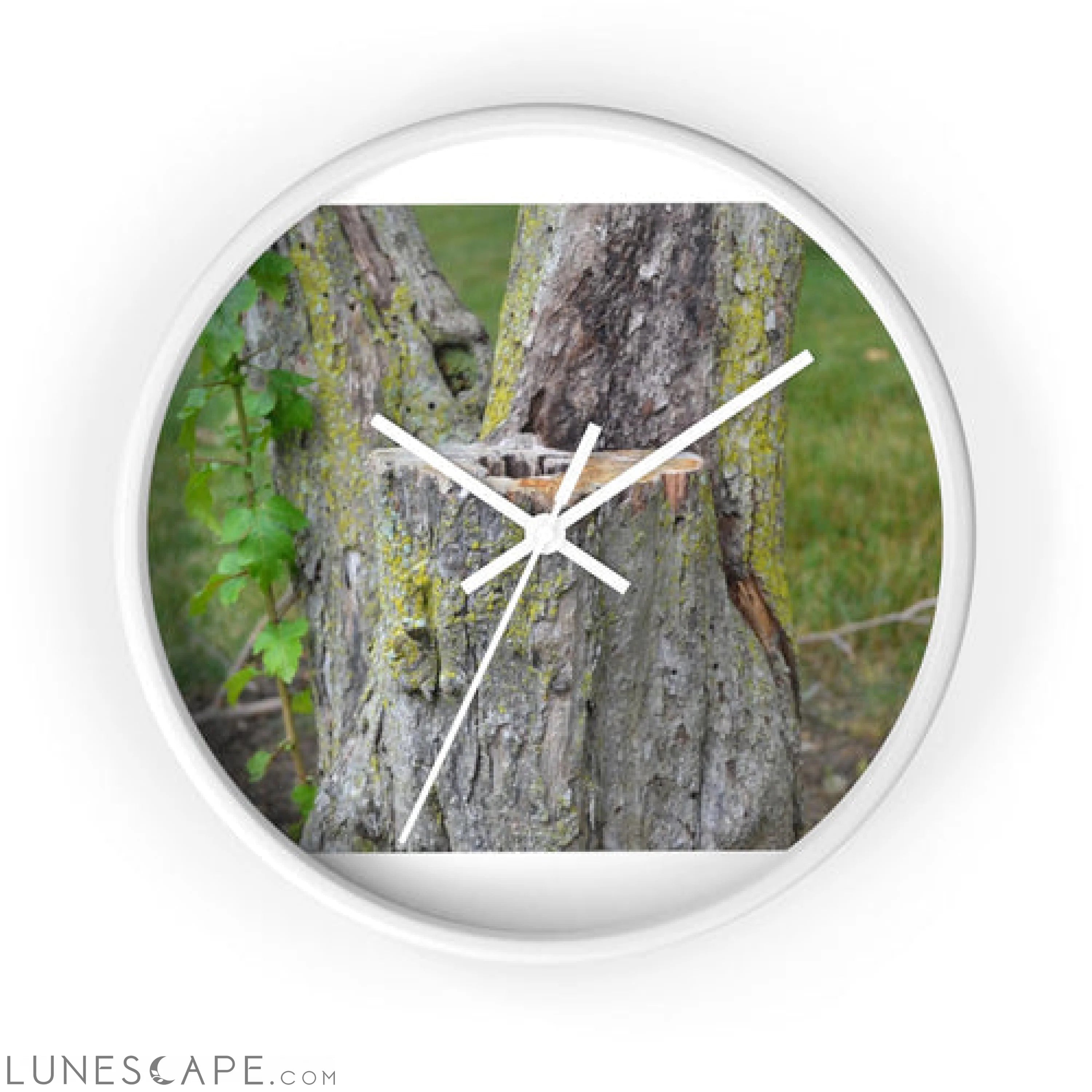 Tree Stump Wall clock LUNESCAPE