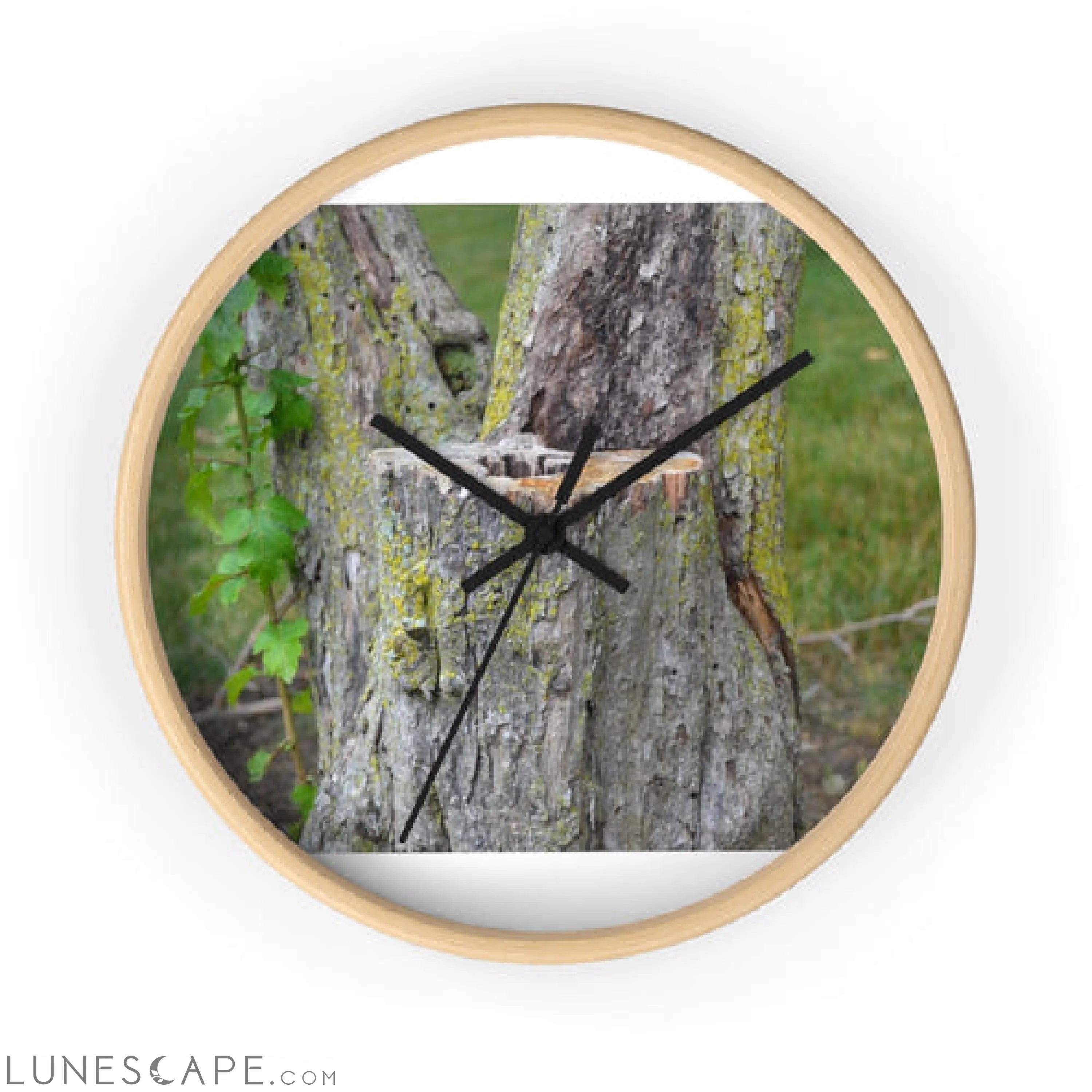 Tree Stump Wall clock LUNESCAPE