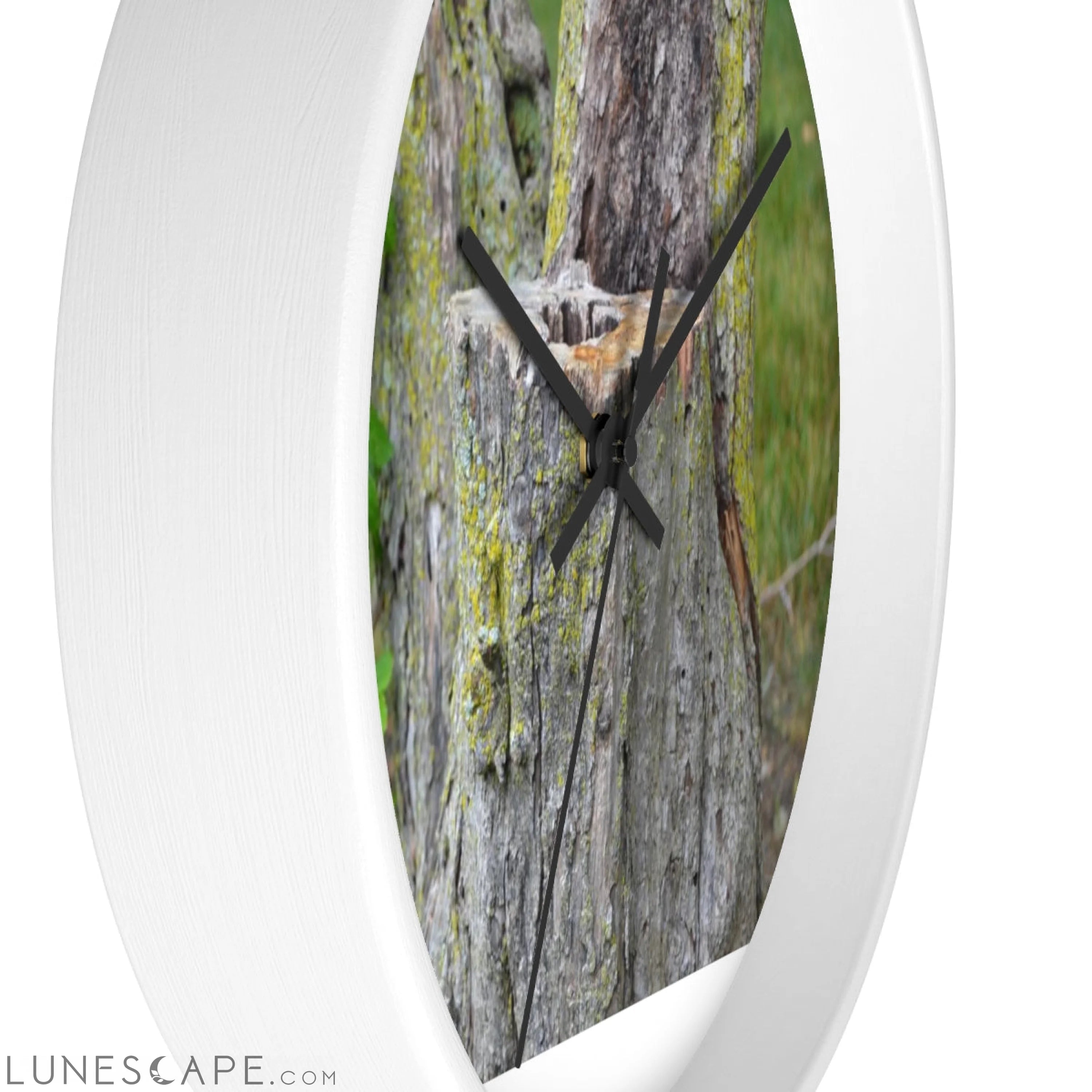 Tree Stump Wall clock LUNESCAPE