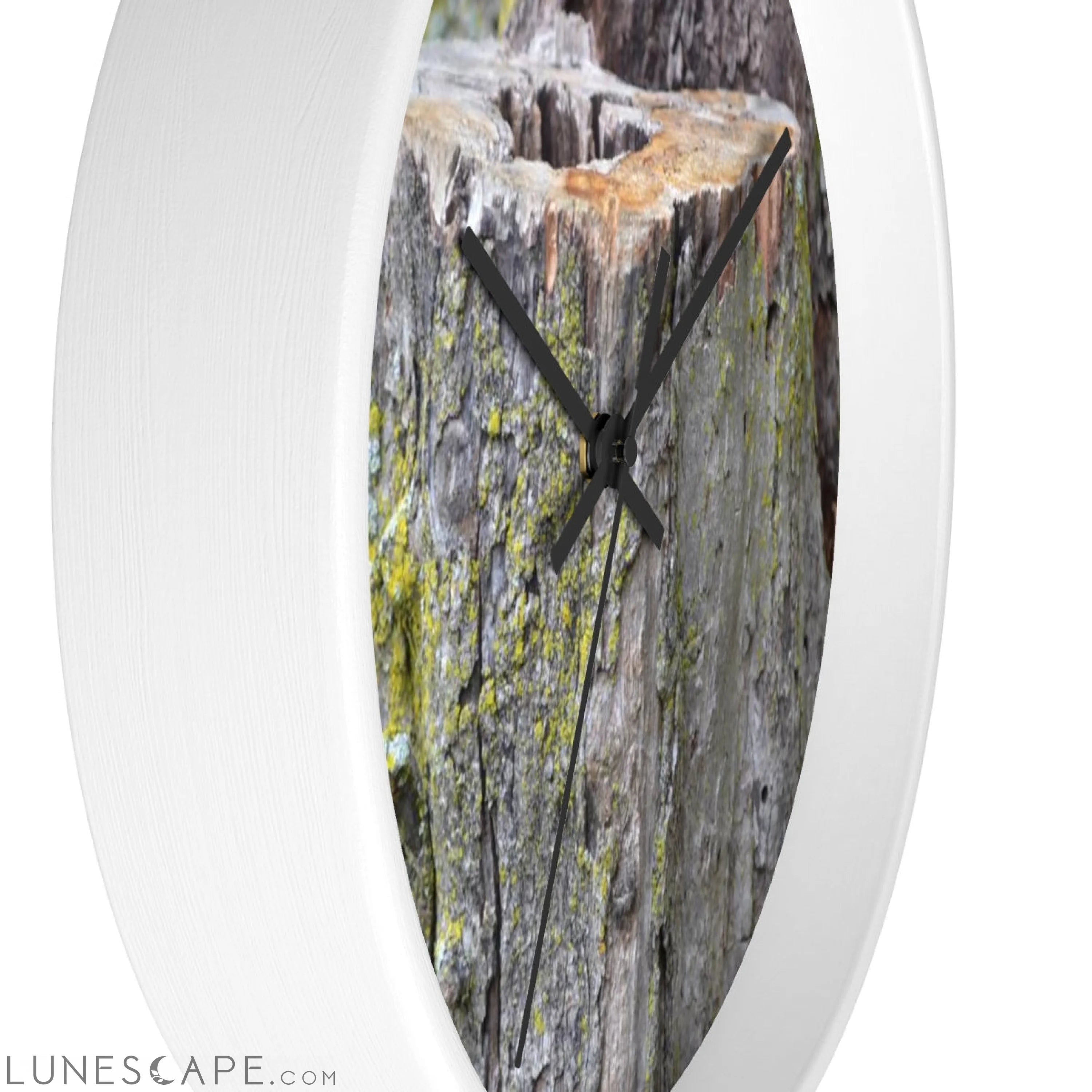 Tree Stump Wall clock LUNESCAPE