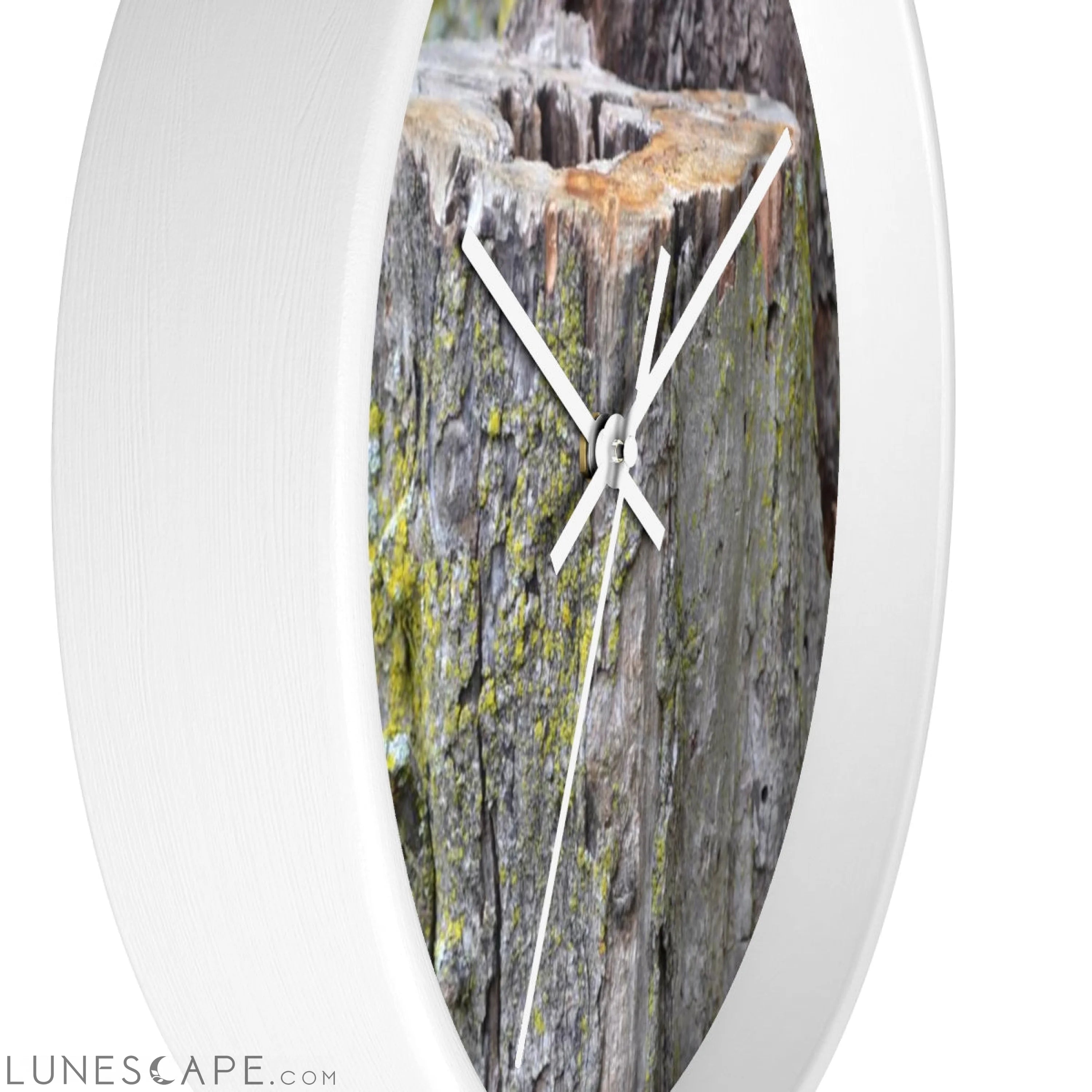 Tree Stump Wall clock LUNESCAPE