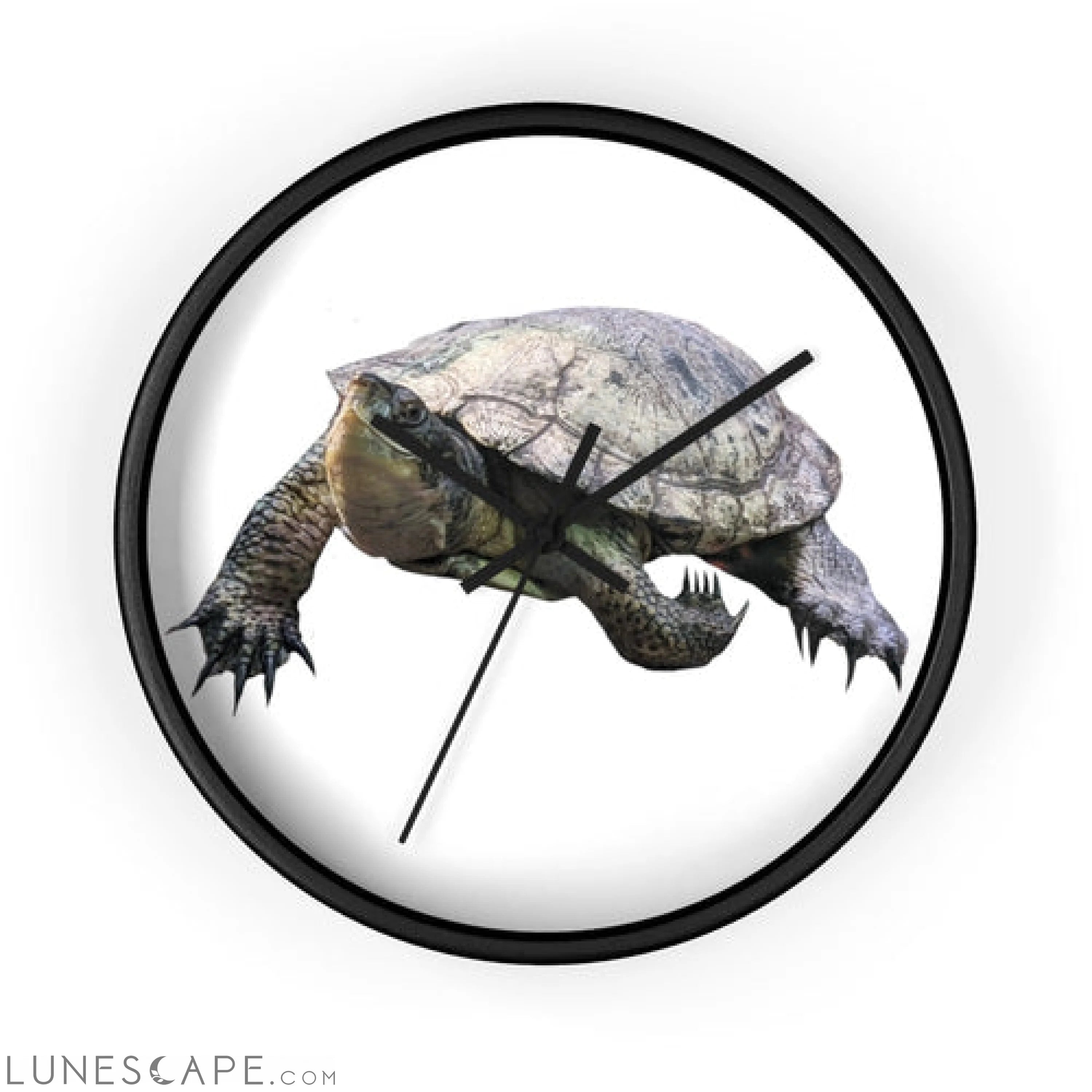 Turtle Wall clock LUNESCAPE