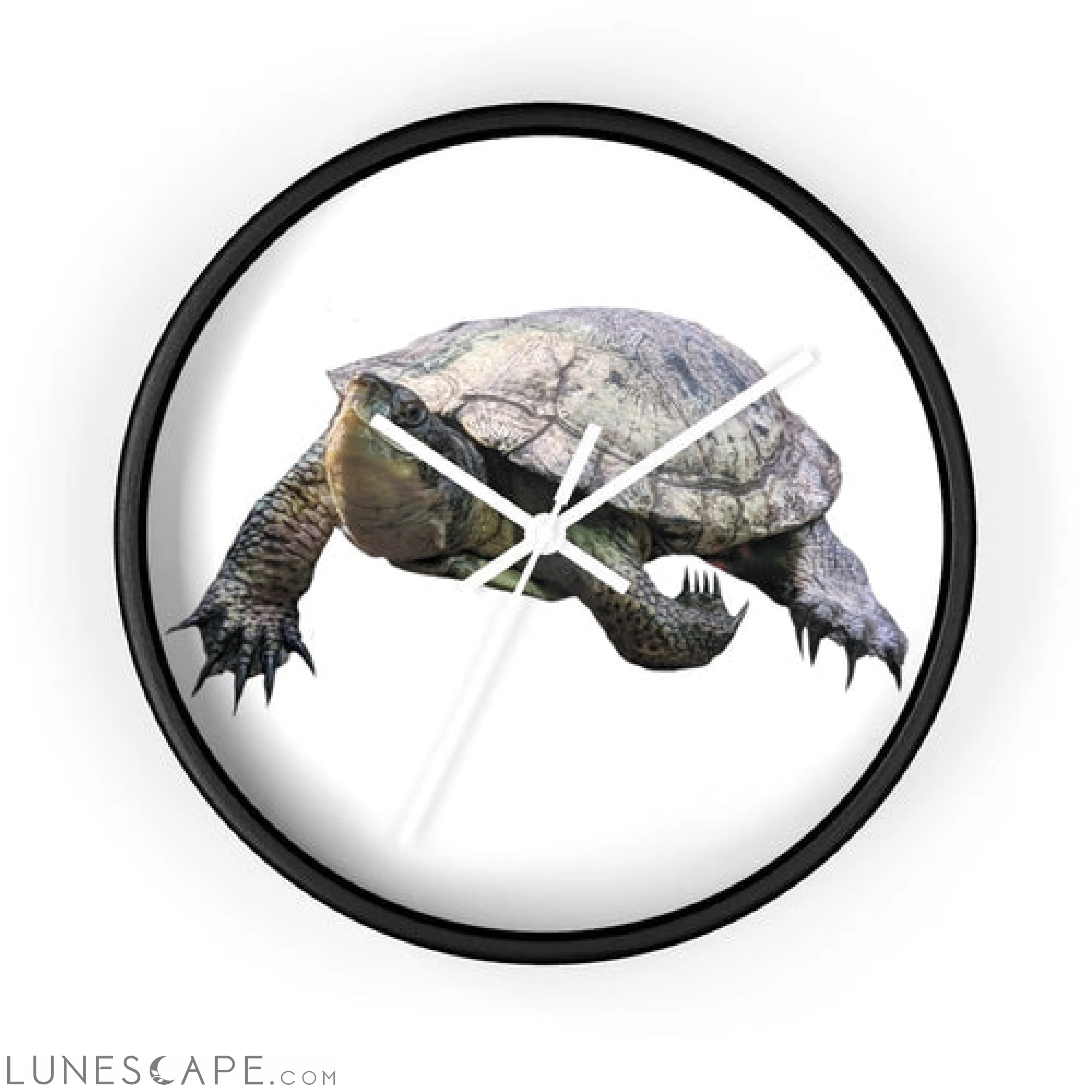 Turtle Wall clock LUNESCAPE