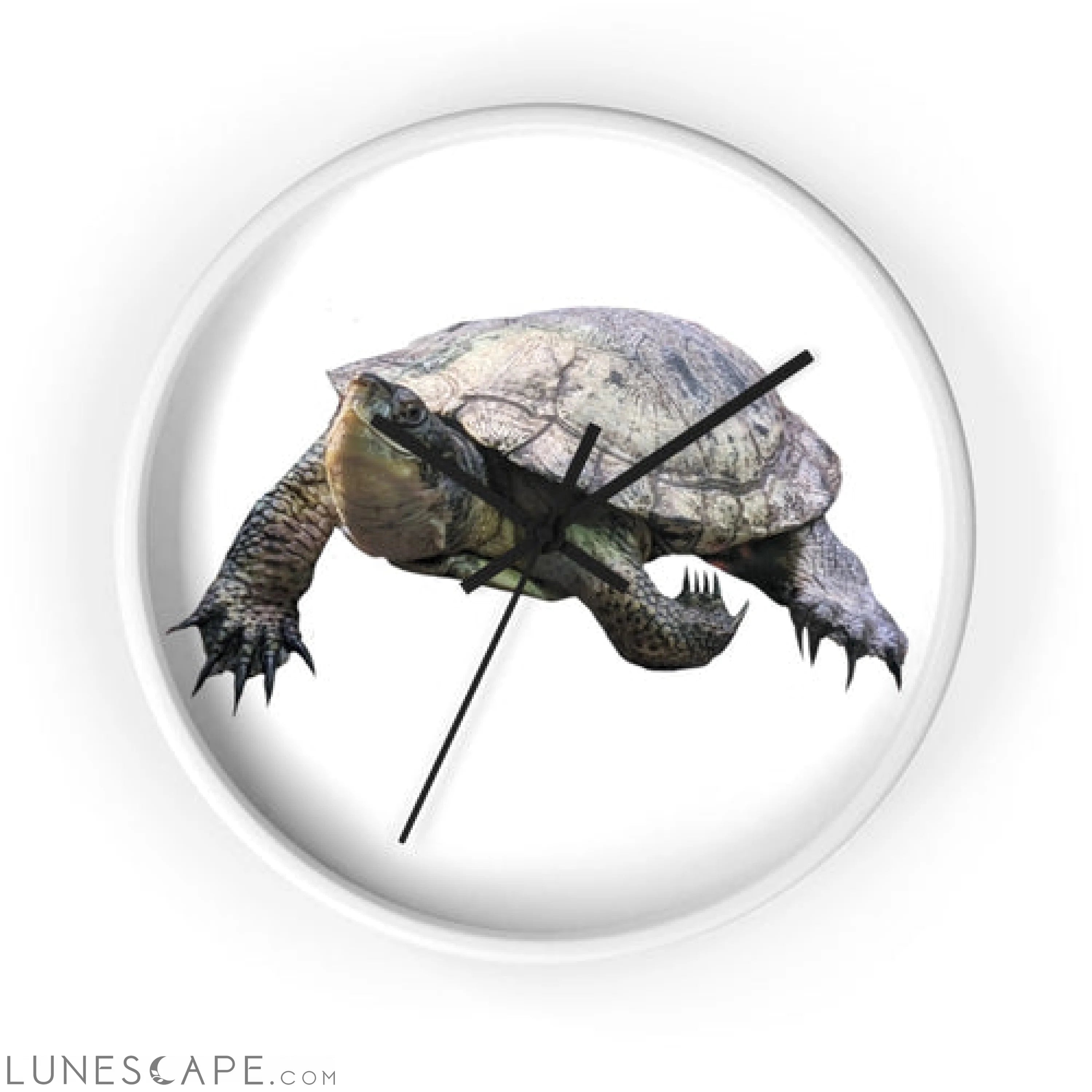 Turtle Wall clock LUNESCAPE