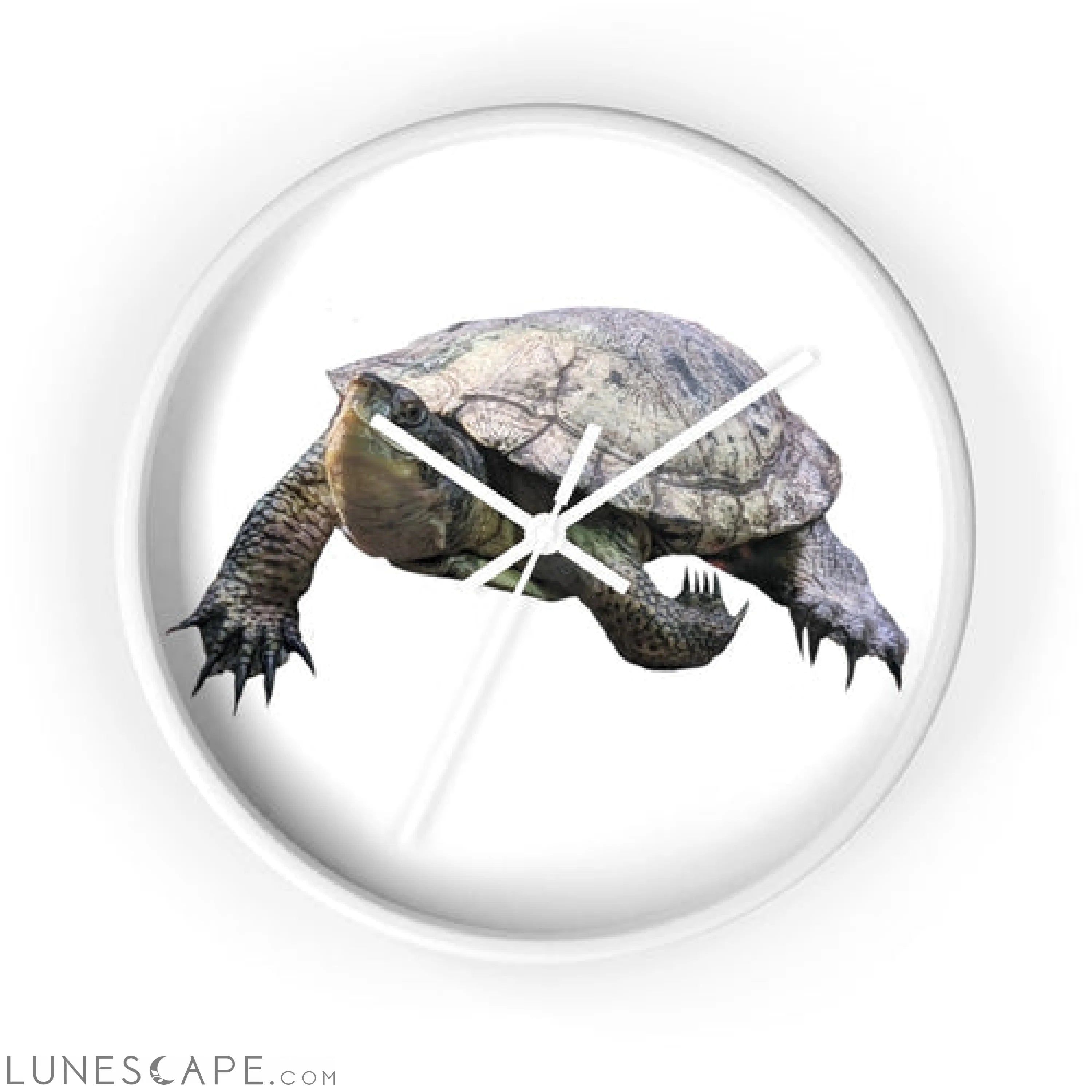 Turtle Wall clock LUNESCAPE