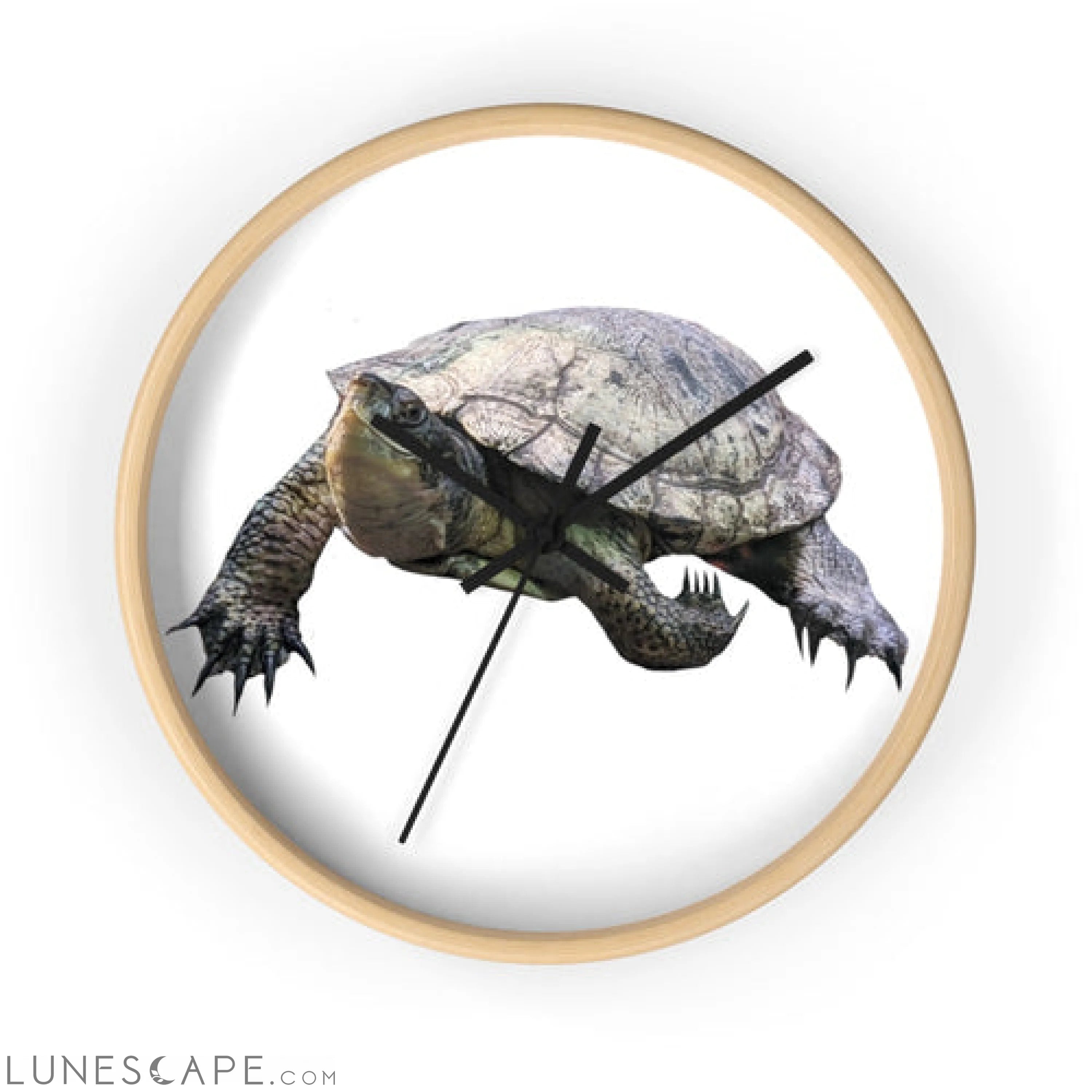 Turtle Wall clock LUNESCAPE