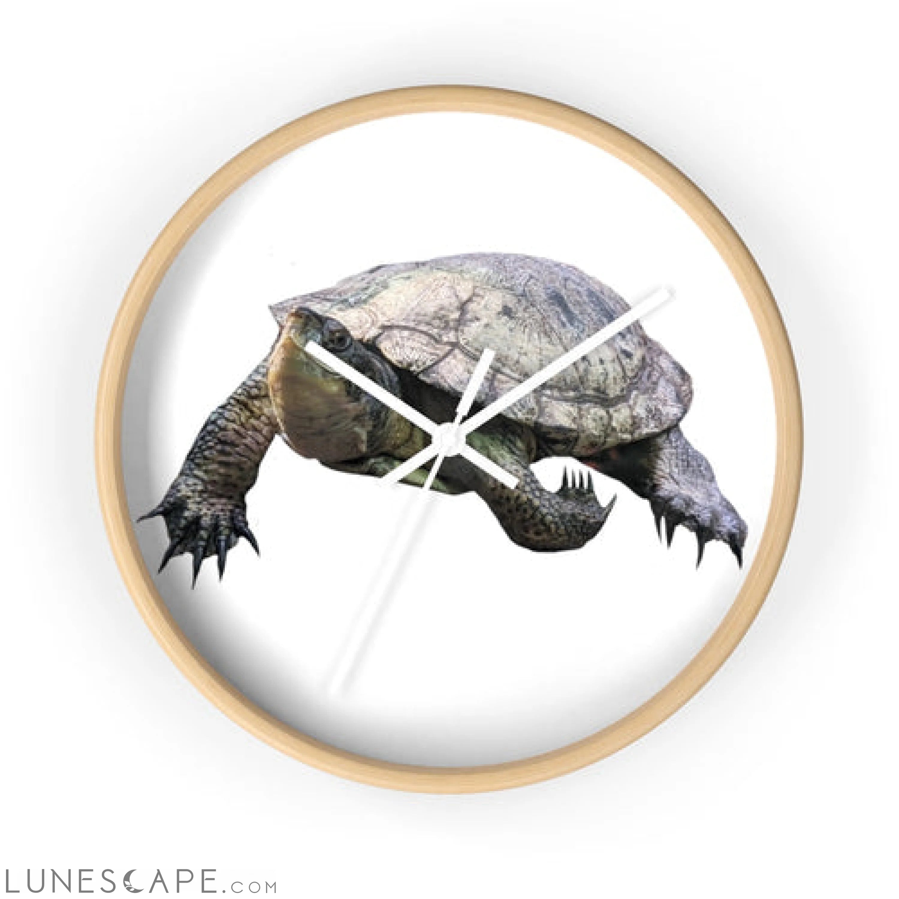 Turtle Wall clock LUNESCAPE