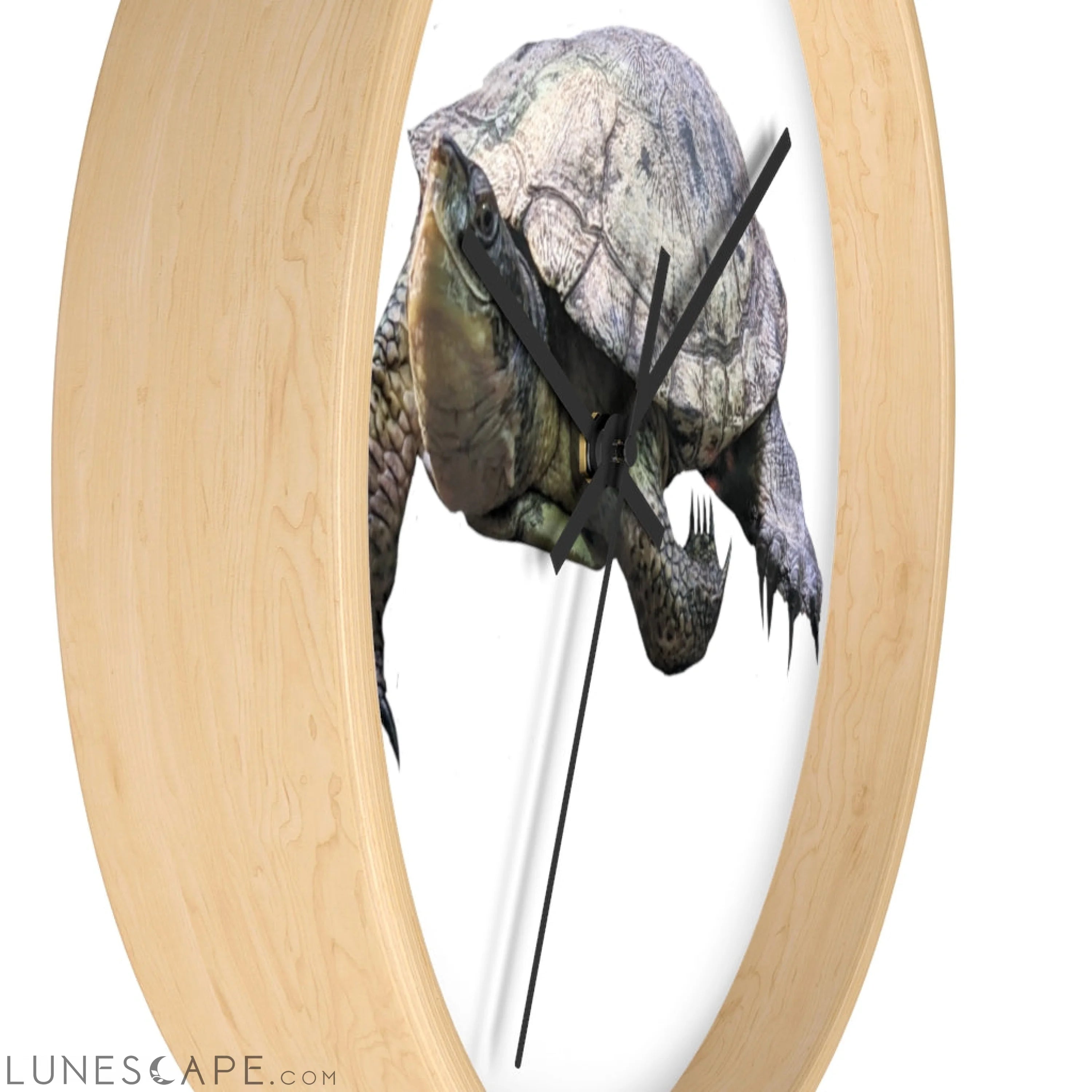 Turtle Wall clock LUNESCAPE