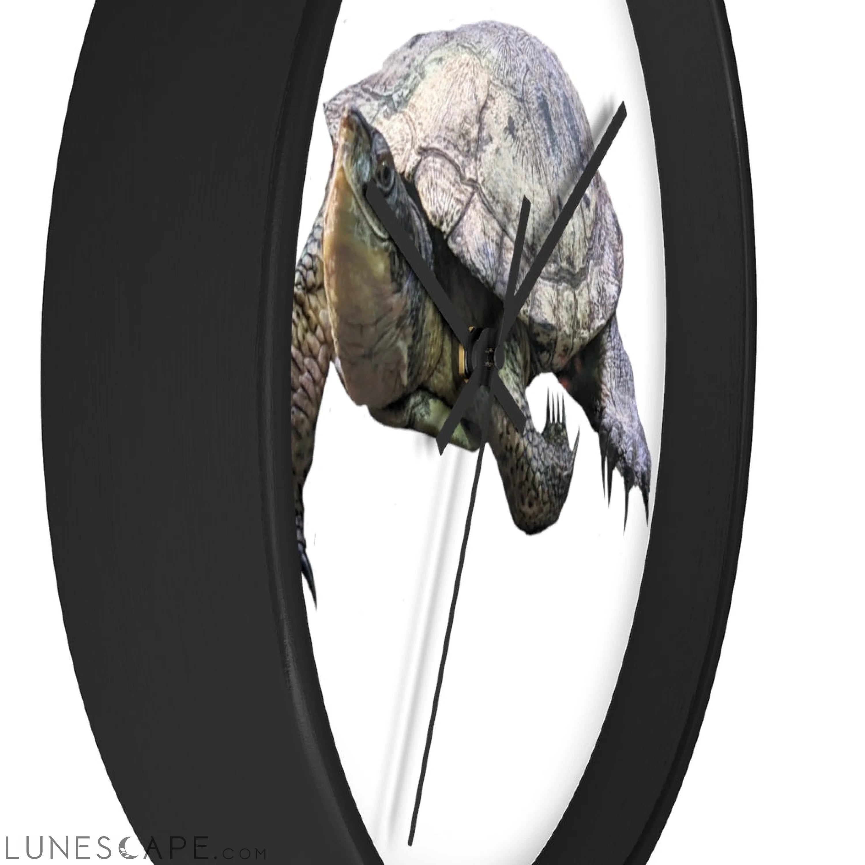 Turtle Wall clock LUNESCAPE
