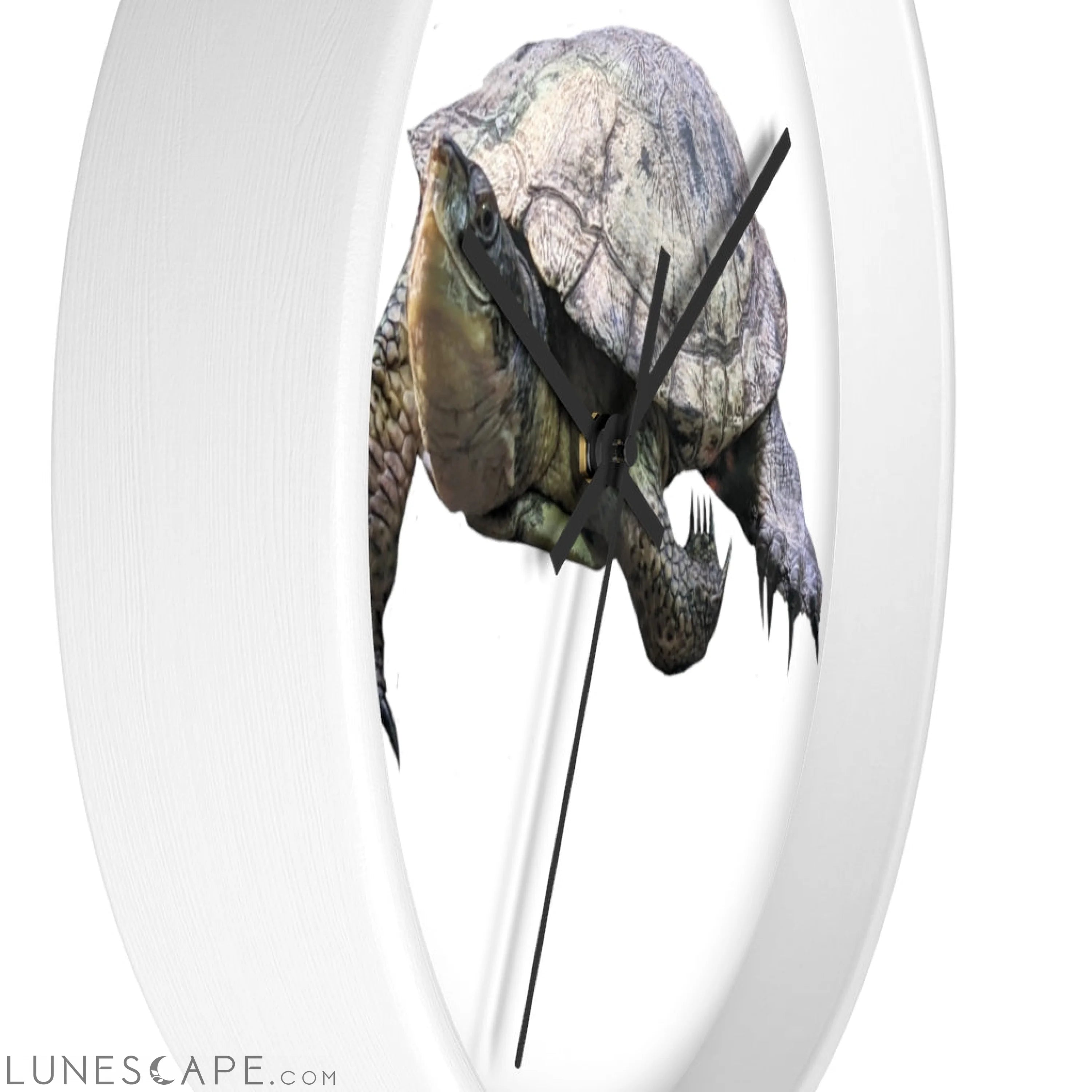 Turtle Wall clock LUNESCAPE