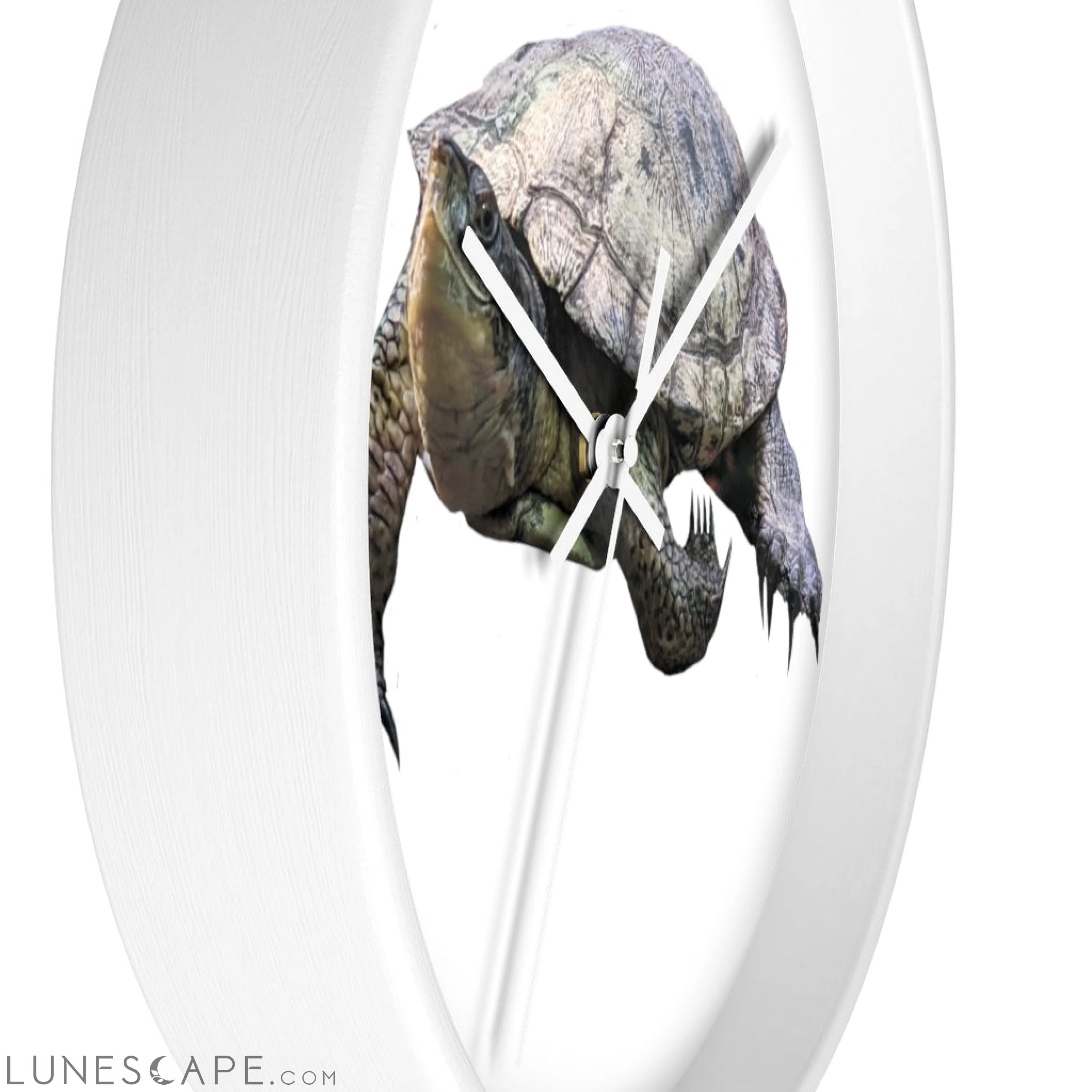 Turtle Wall clock LUNESCAPE