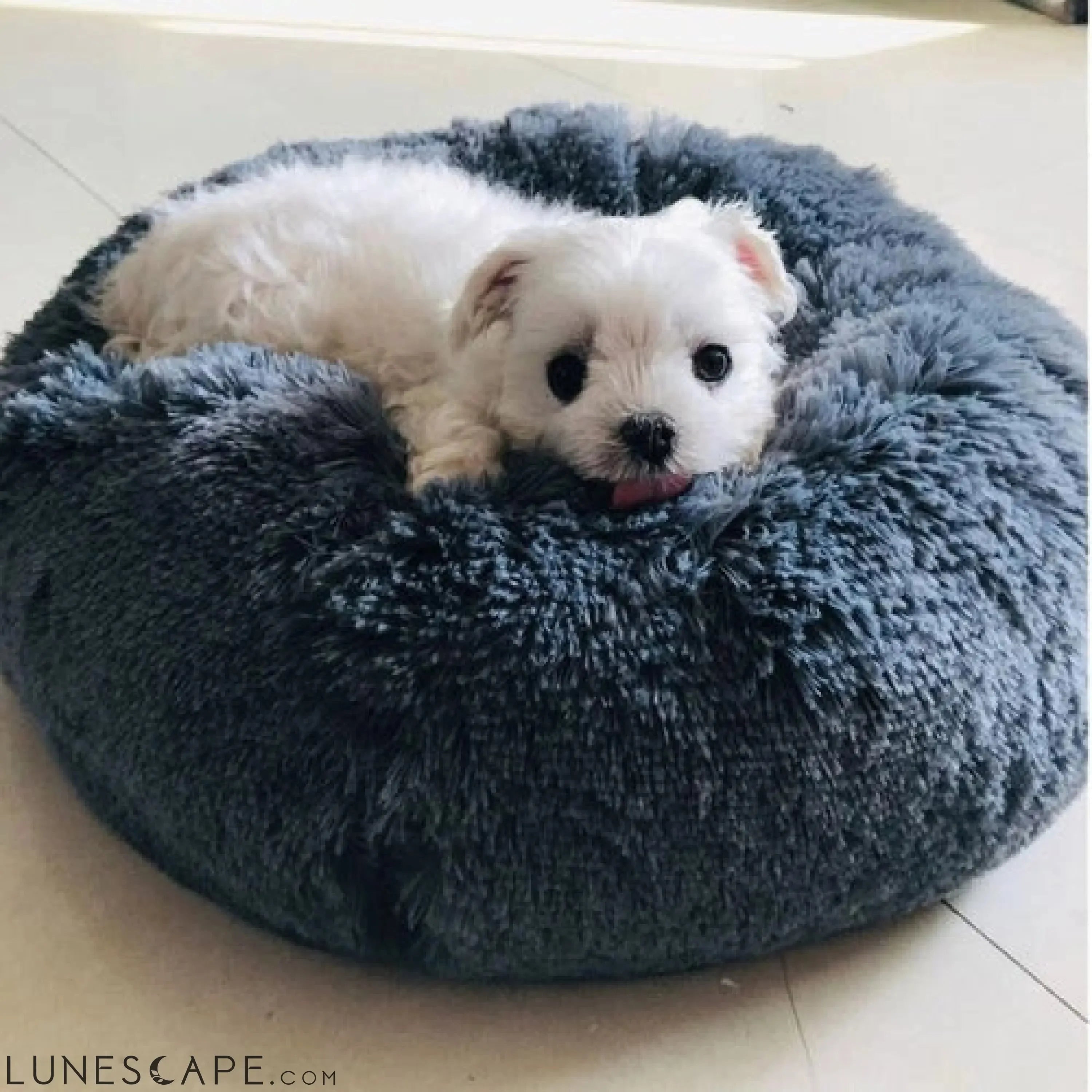 Ultra Soft Premium Pet Pouf (XS-XXL) LUNESCAPE