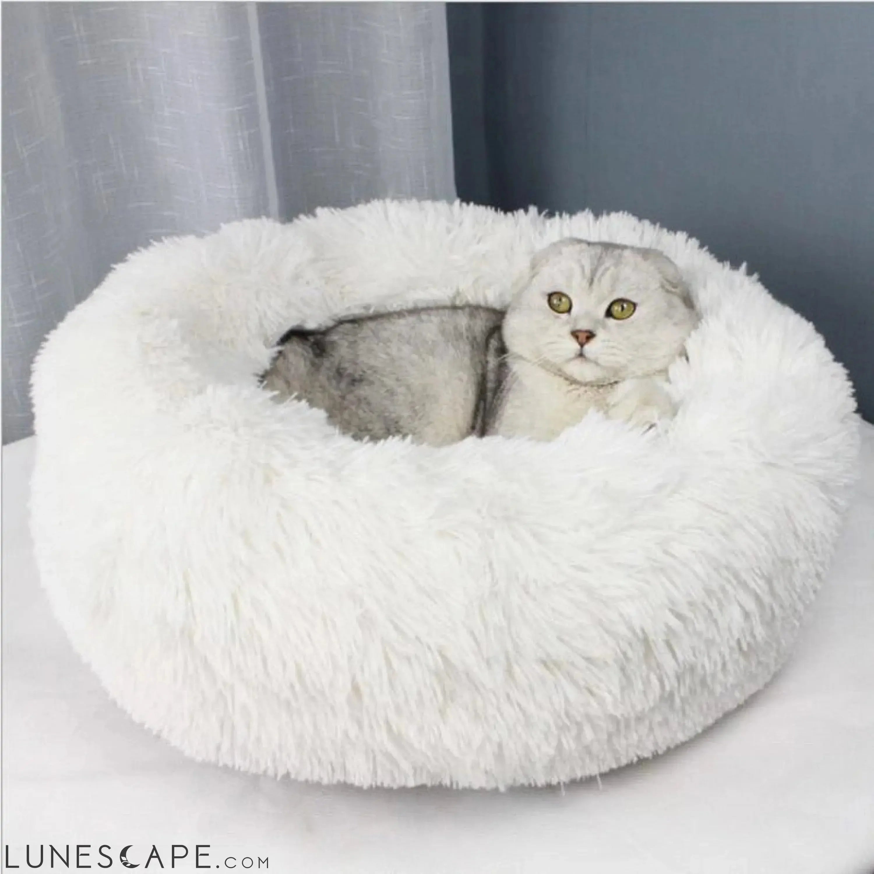 Ultra Soft Premium Pet Pouf (XS-XXL) LUNESCAPE