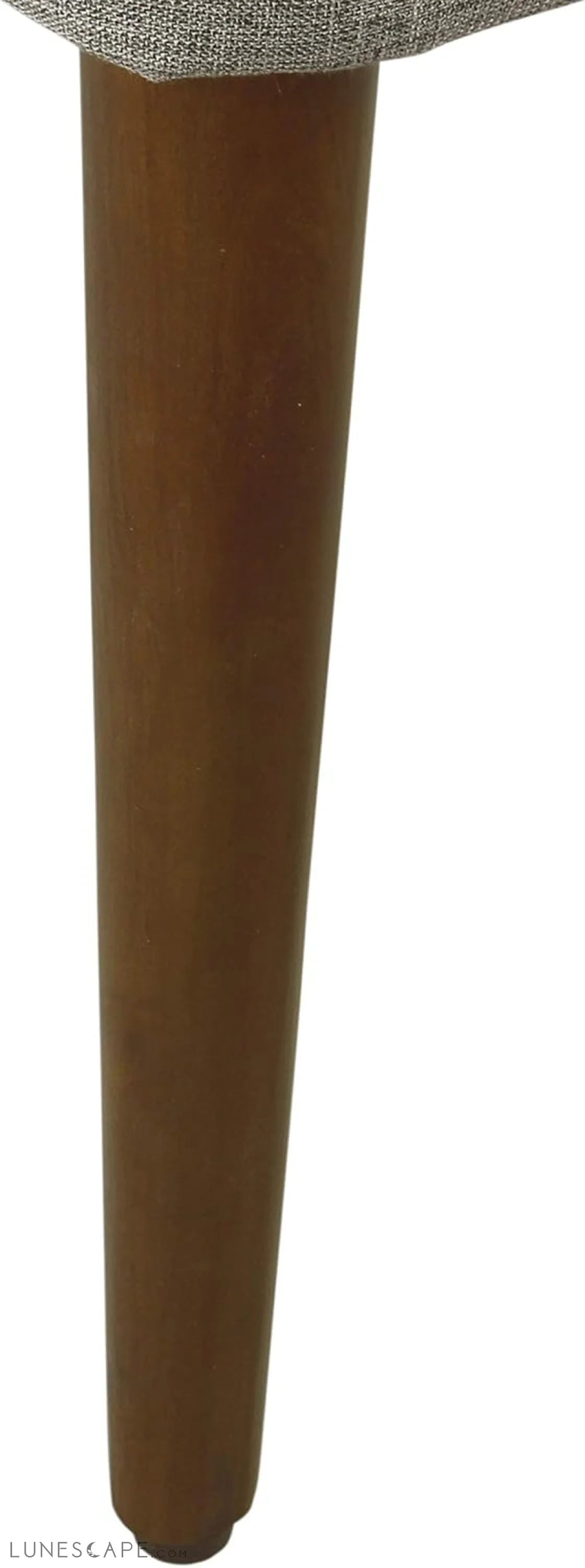 Upholstered Hemet Gayle Side Dining Chair LUNESCAPE