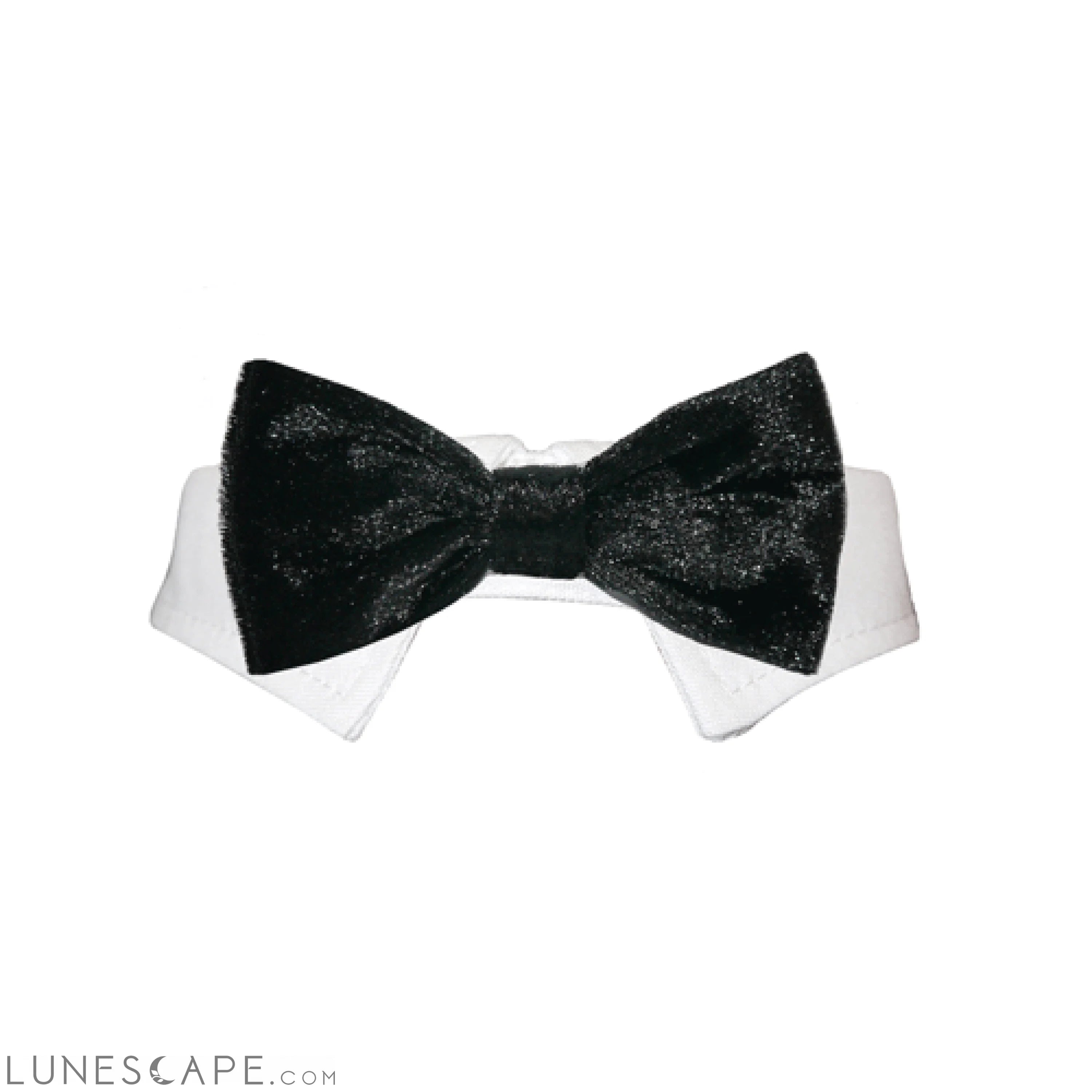 Valentino Bow Tie - Black LUNESCAPE
