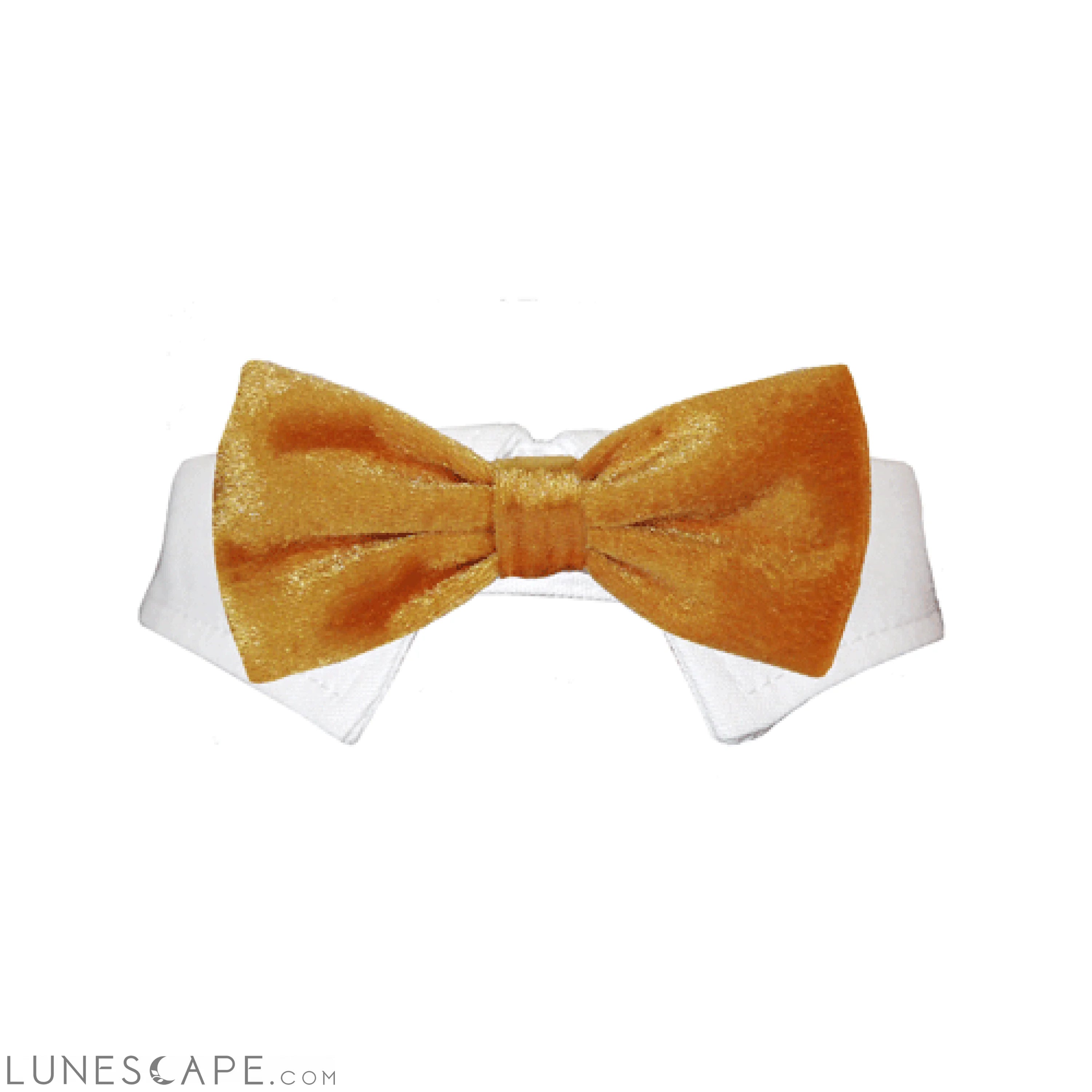 Valentino Bow Tie - Gold LUNESCAPE