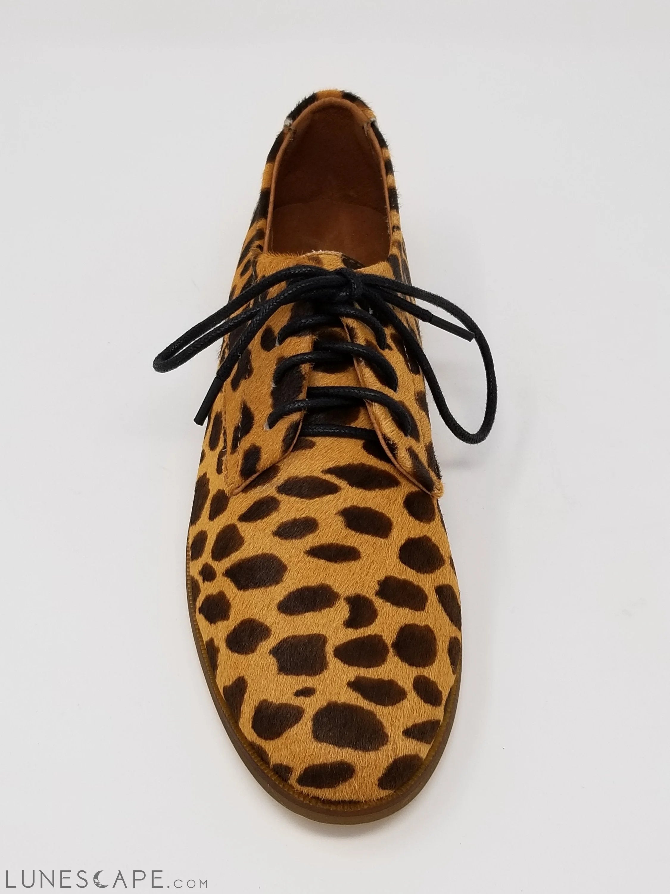Westwood Womens Lace-Up Flat Derby LUNESCAPE