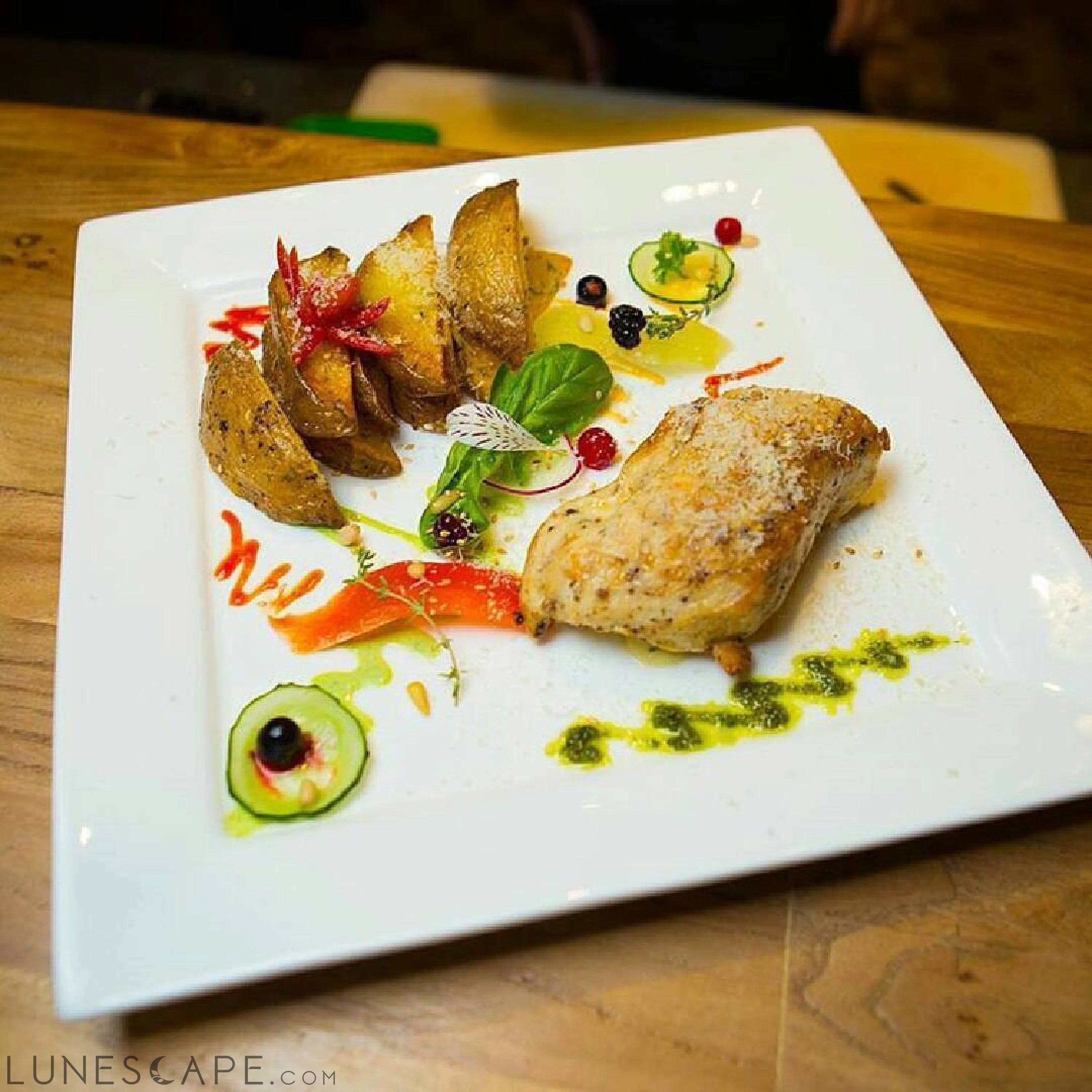White Dinner Plate 10" inch X 10" inch| 25 X 25 Cm LUNESCAPE