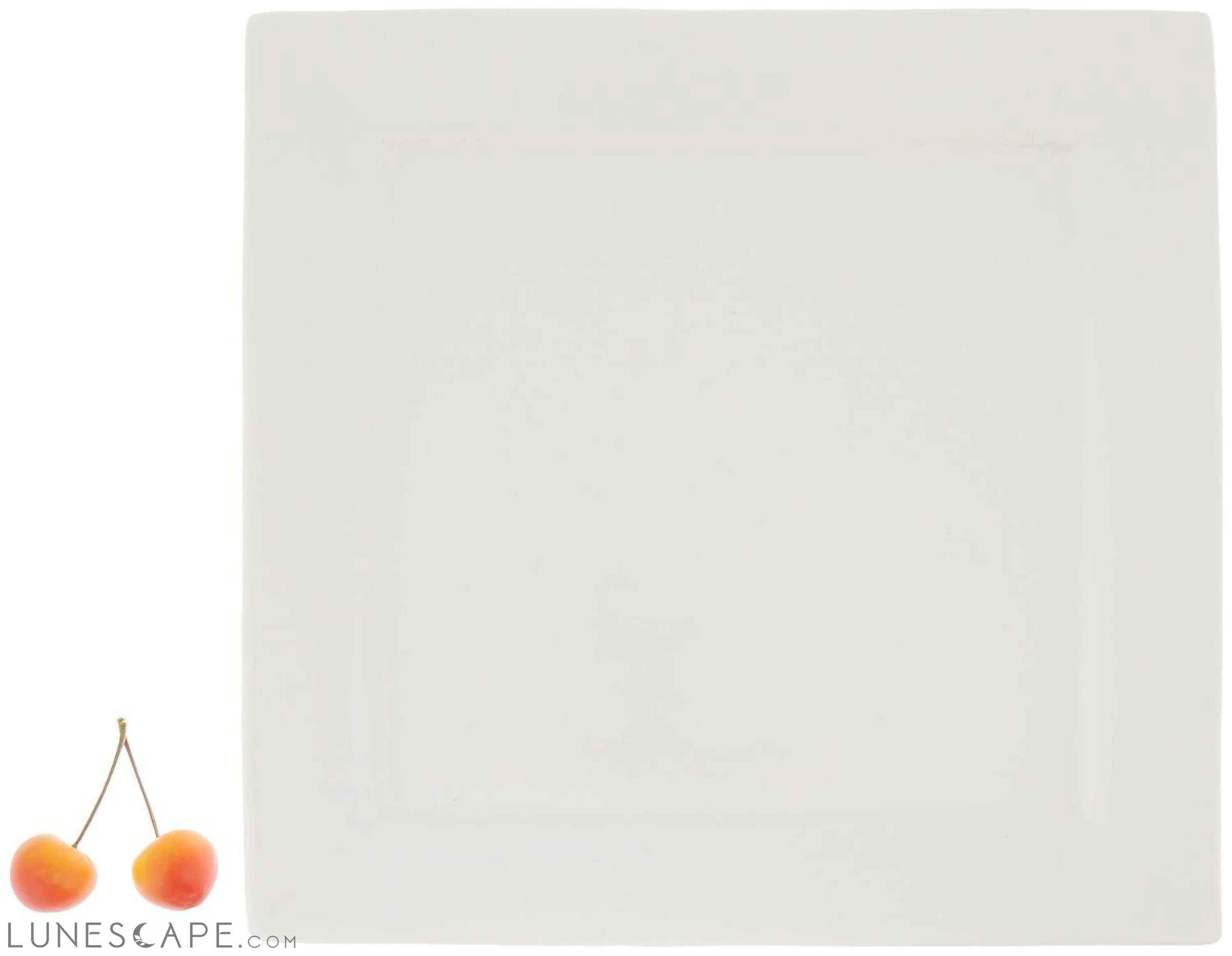 White Dinner Plate 10" inch X 10" inch| 25 X 25 Cm LUNESCAPE