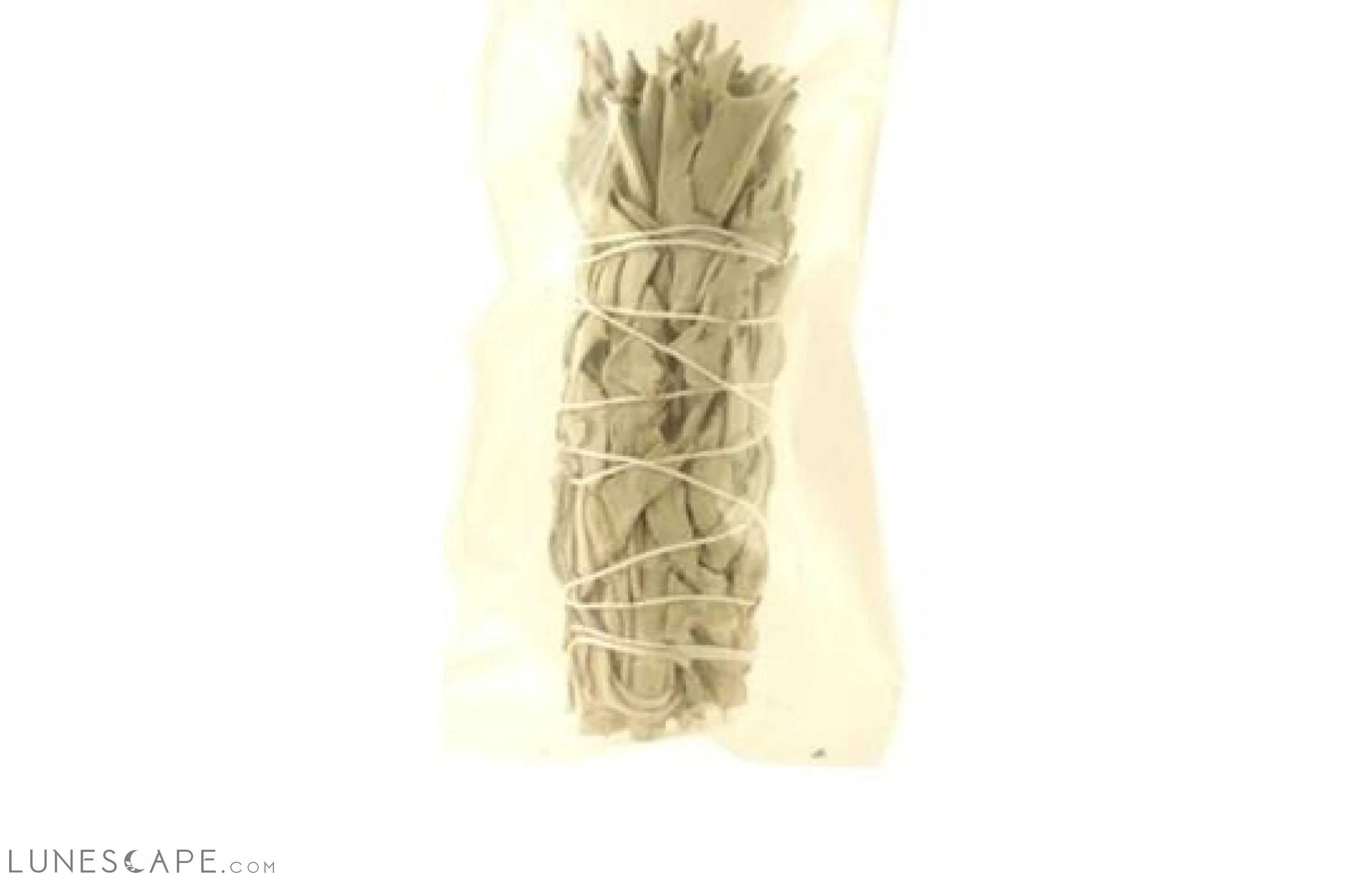 White Sage Smudge Loose Leaves - 2.7oz bag LUNESCAPE