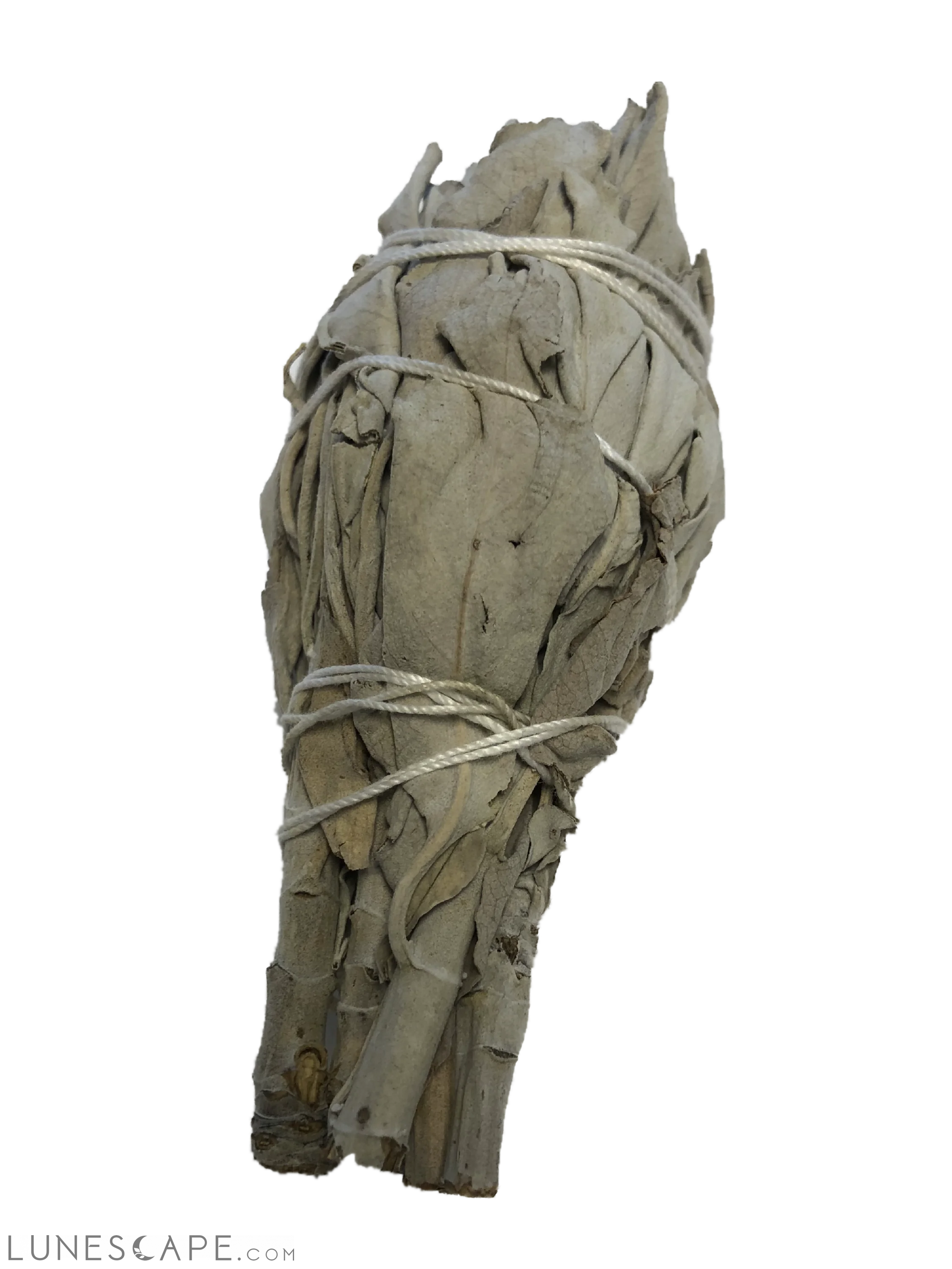 White Sage LUNESCAPE