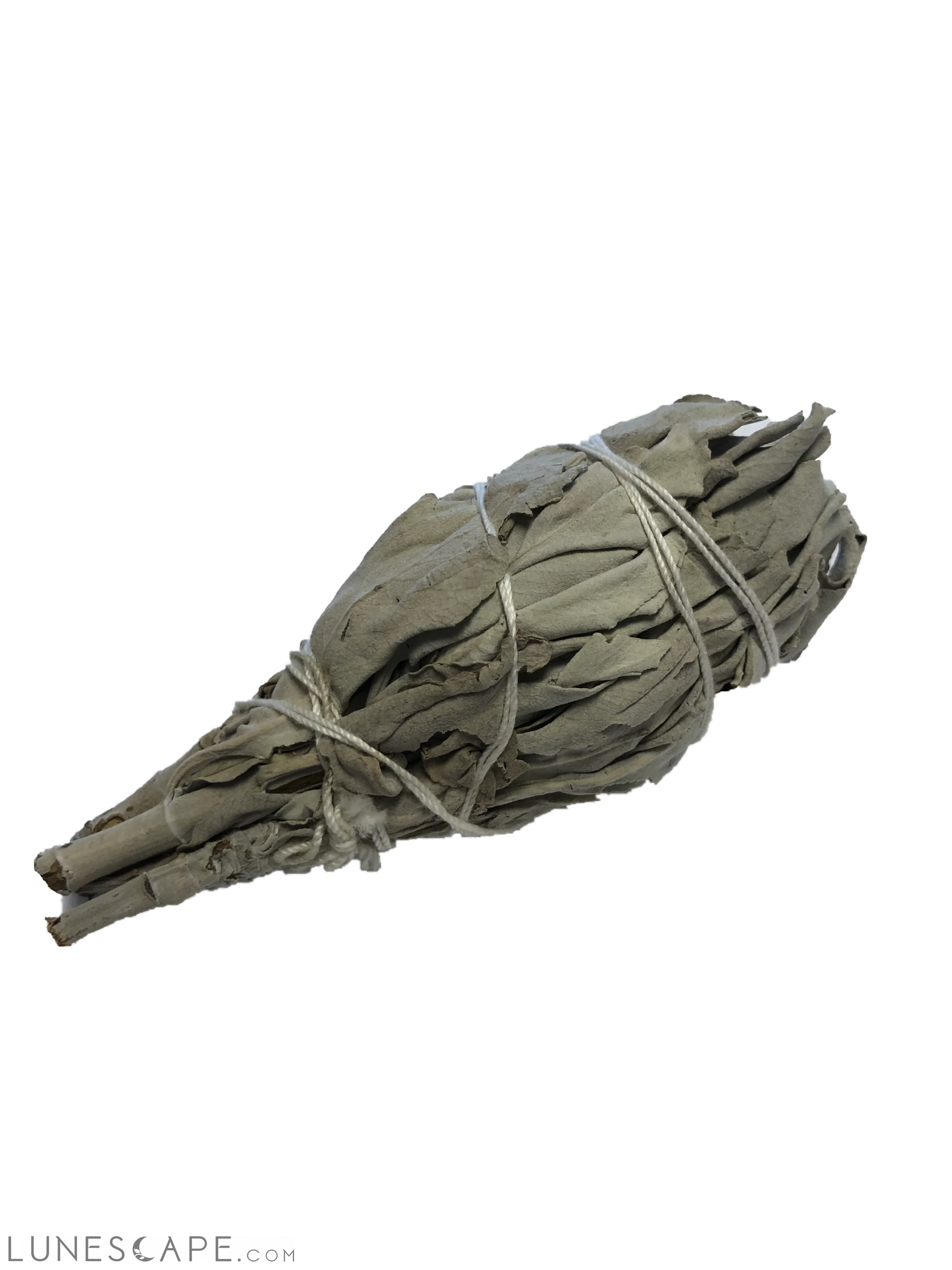 White Sage LUNESCAPE