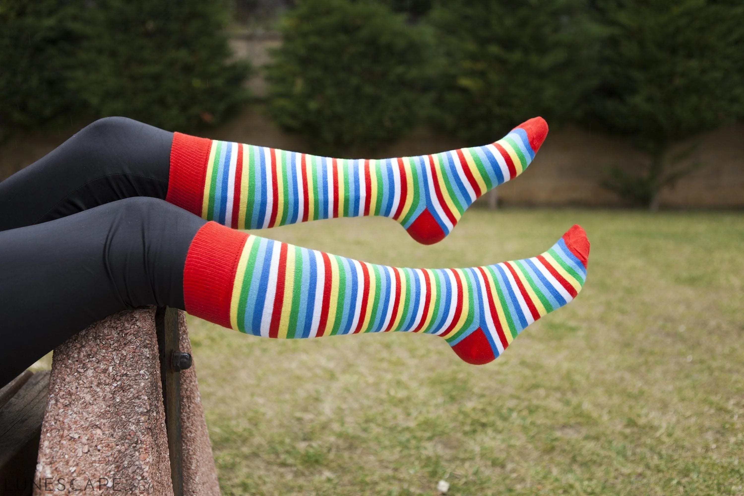 Women's Cherry Stripe Knee High Socks LUNESCAPE