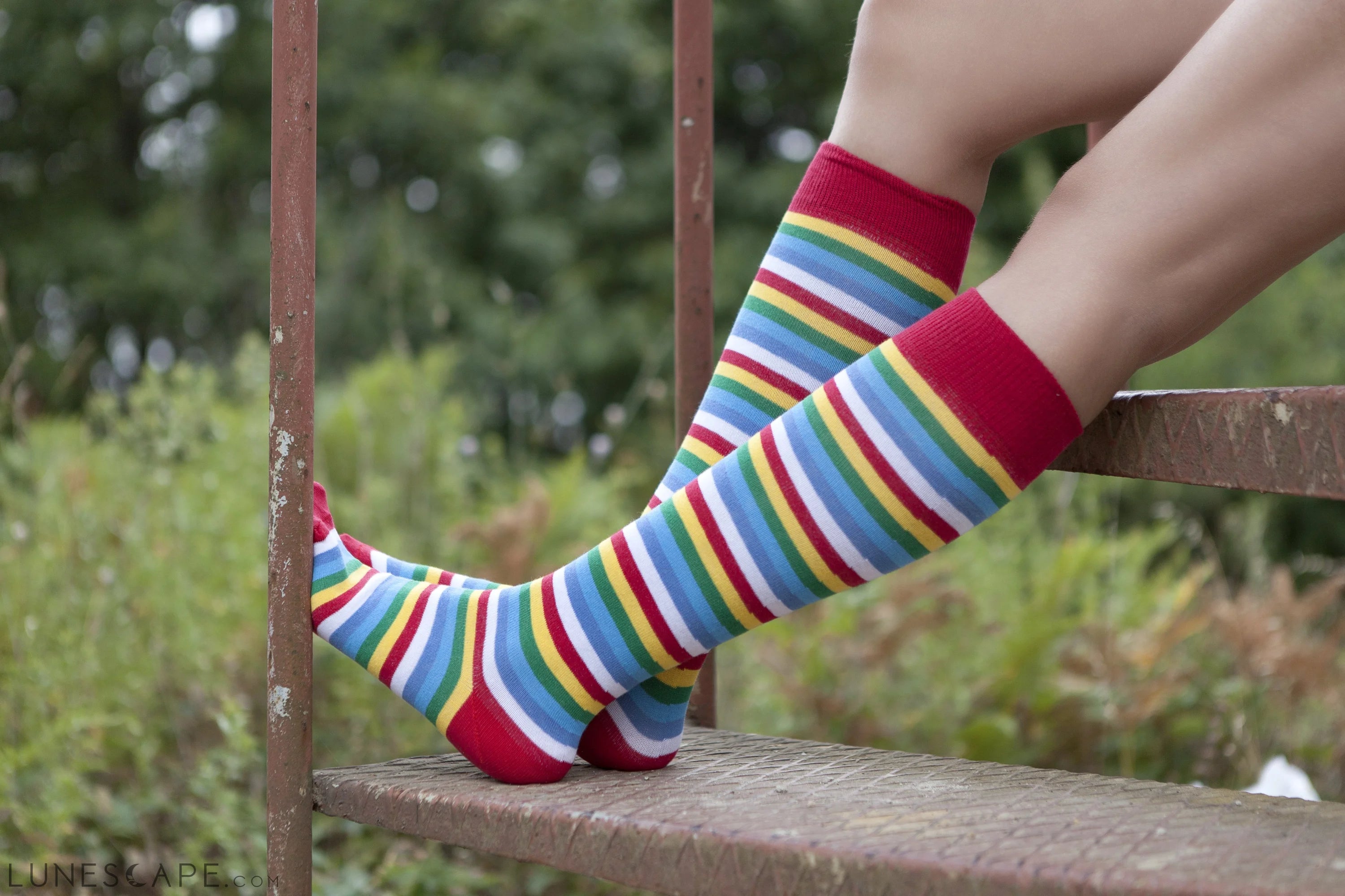 Women's Cherry Stripe Knee High Socks LUNESCAPE
