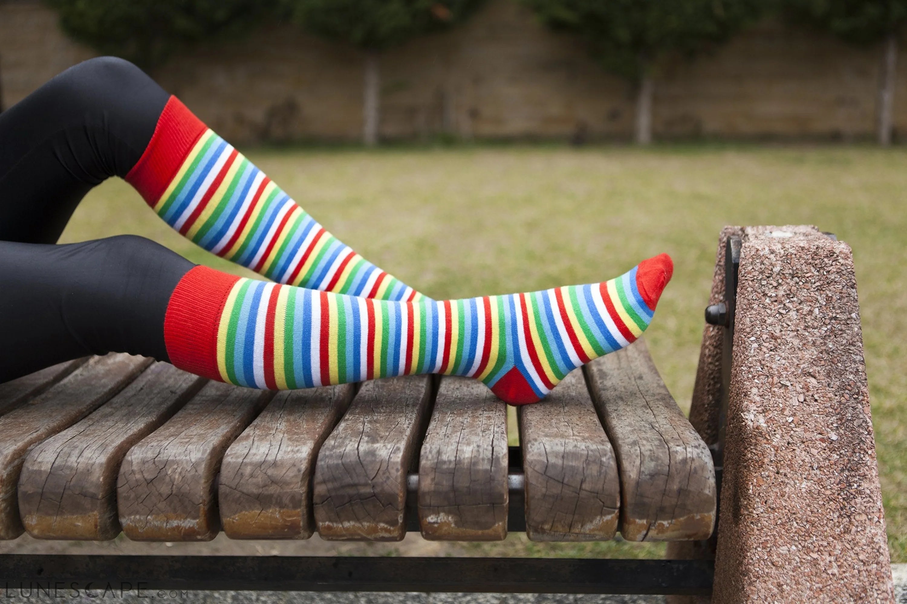 Women's Cherry Stripe Knee High Socks LUNESCAPE