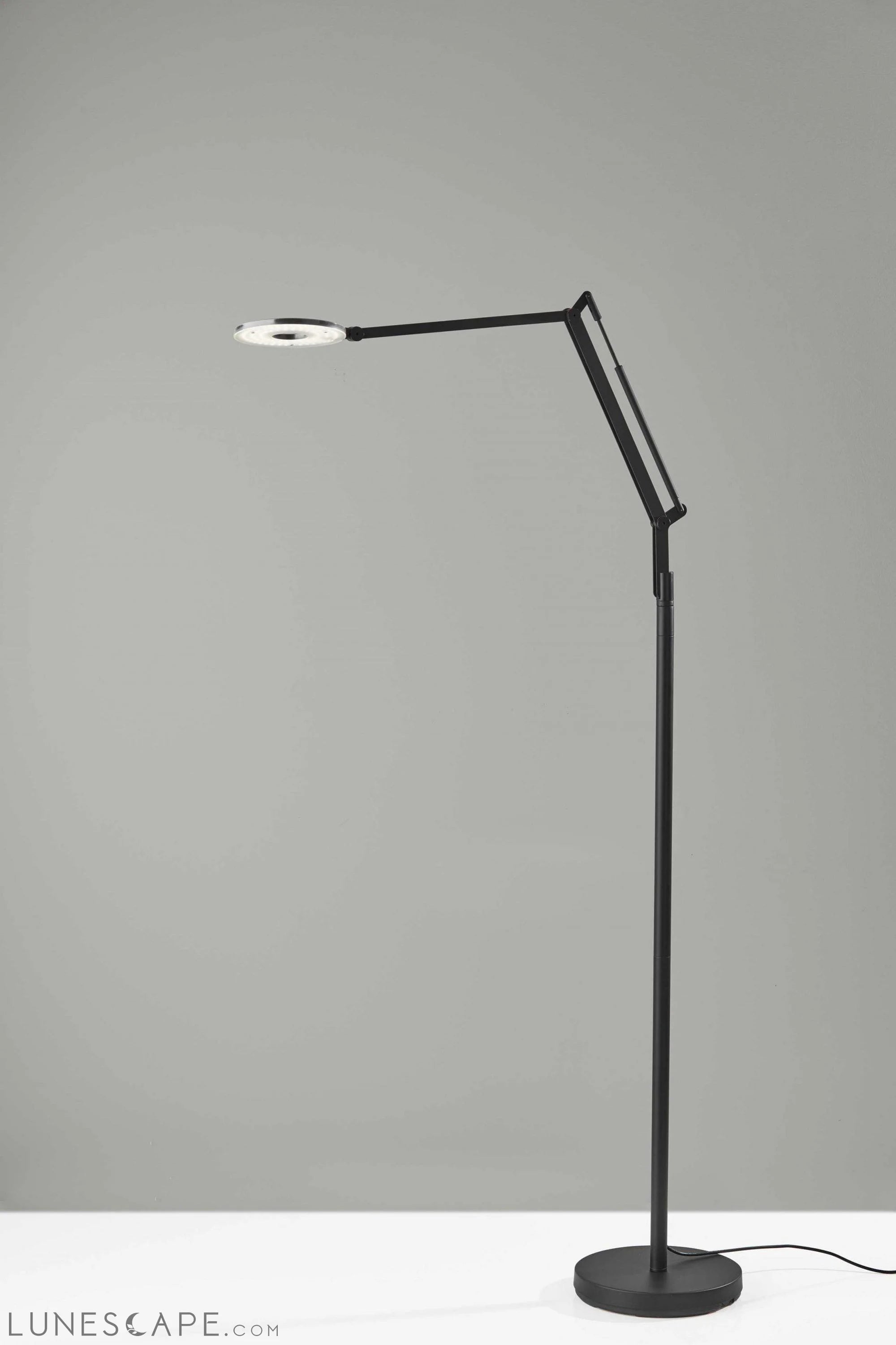 10" X 36.5"  X 66.5" Black Metal LED Floor Lamp LUNESCAPE