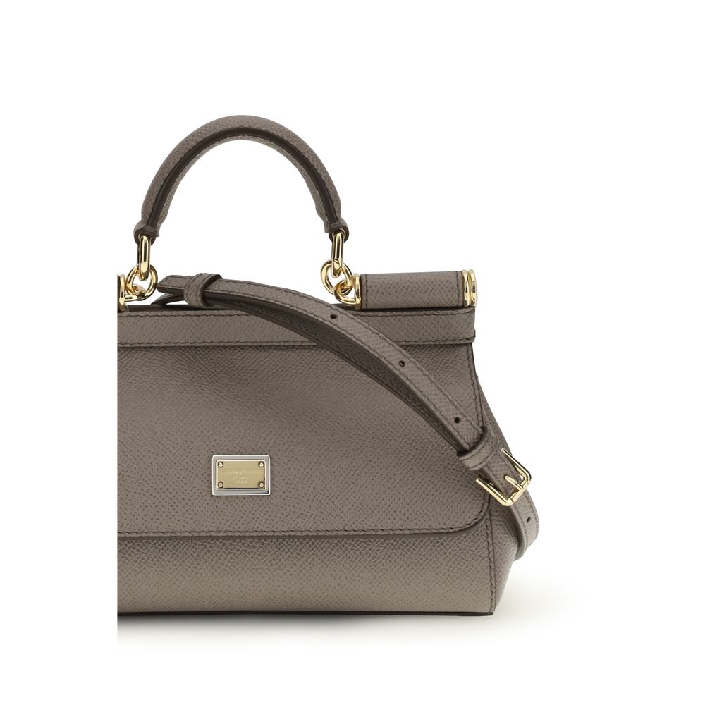 Dolce & Gabbana Gray Calf Leather Bos Taurus Handbag