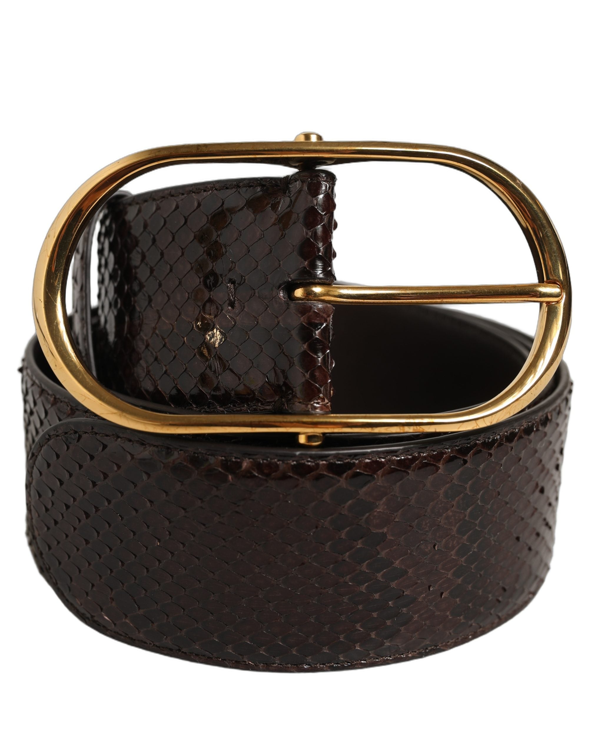 Dolce & Gabbana Brown Python Leather Gold Metal Buckle Belt
