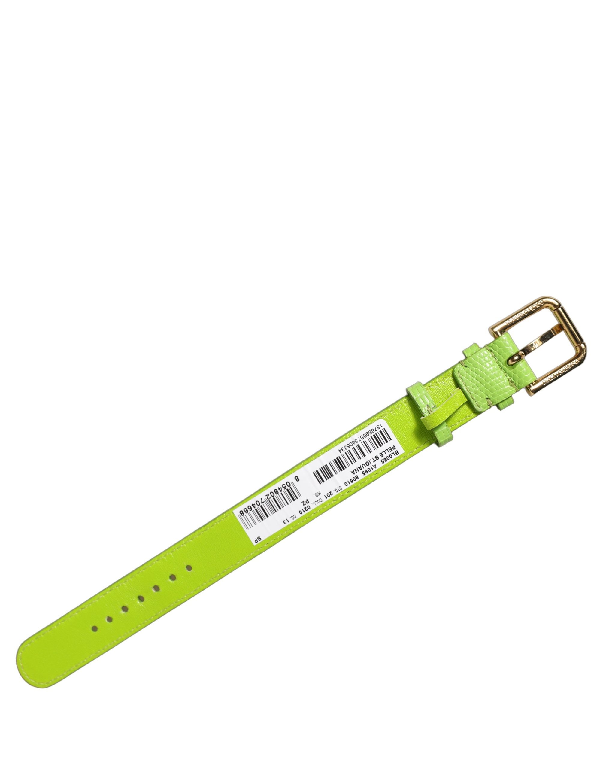 Dolce & Gabbana Green Textured Leather Gold Buckle Belt Strap Bracelet