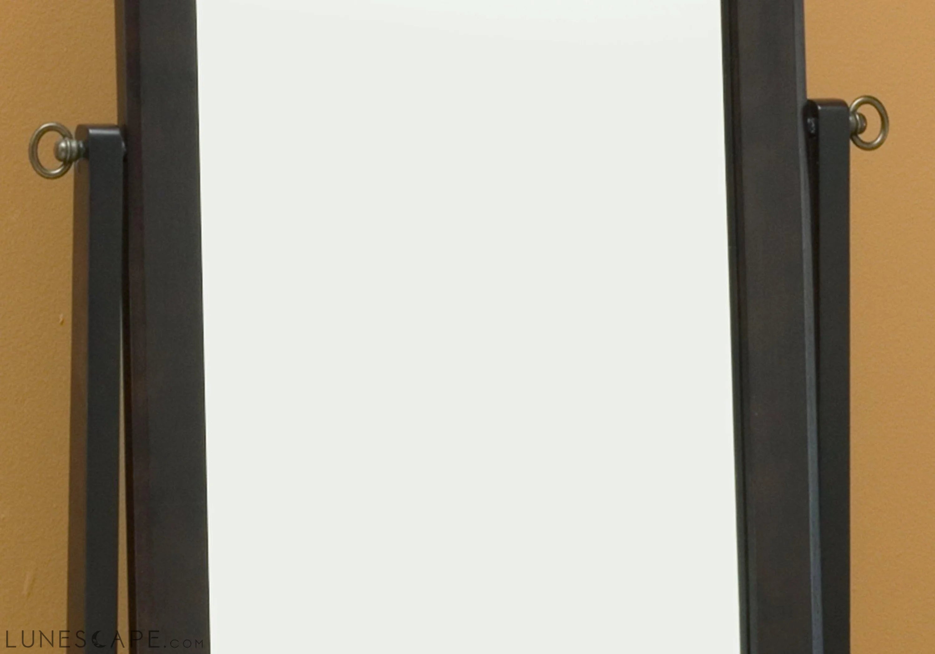 17.5" x 21.25" x 60" CappuccinoWood Frame Mirror LUNESCAPE