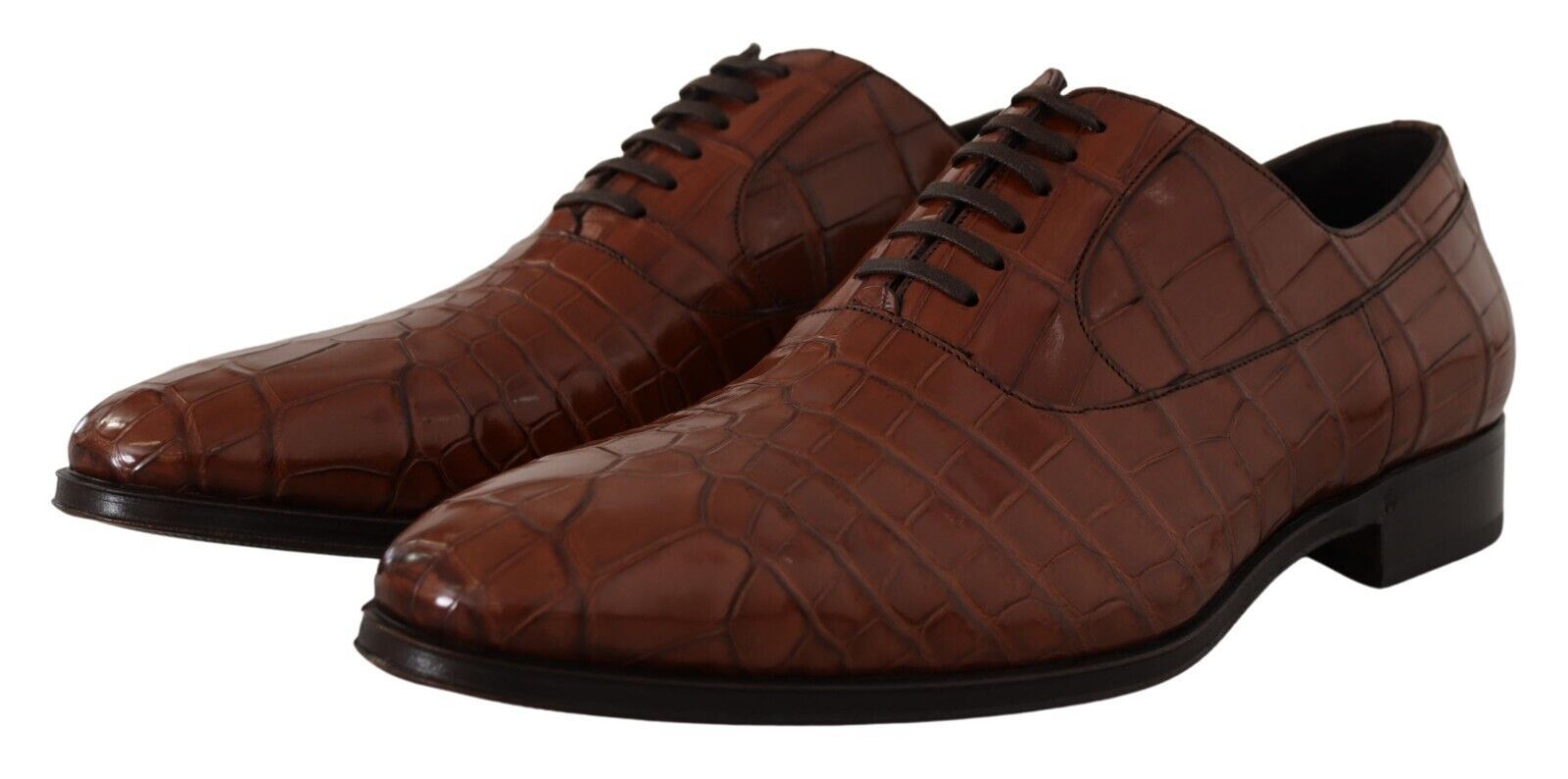 Dolce & Gabbana Brown Crocodile Leather Mens Formal Derby Shoes LUNESCAPE