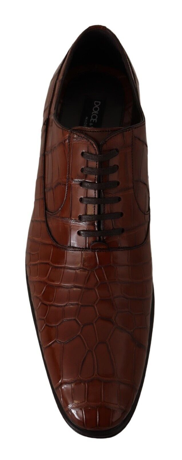 Dolce & Gabbana Brown Crocodile Leather Mens Formal Derby Shoes LUNESCAPE