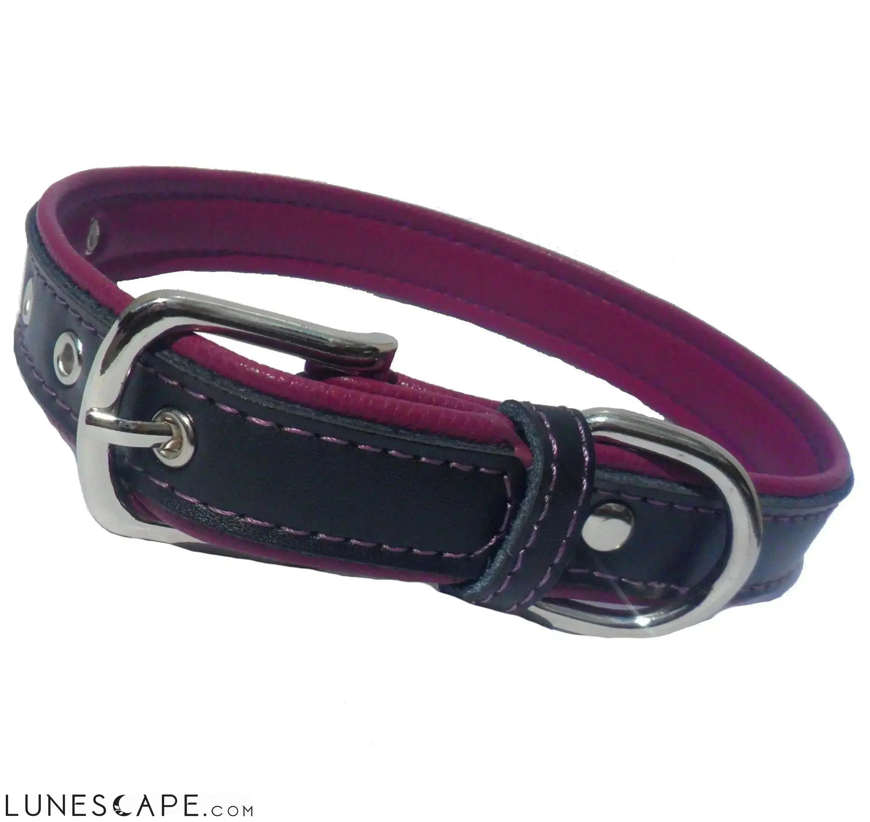 2-Layer Reinforced Vegan Leather Dog Collar LUNESCAPE