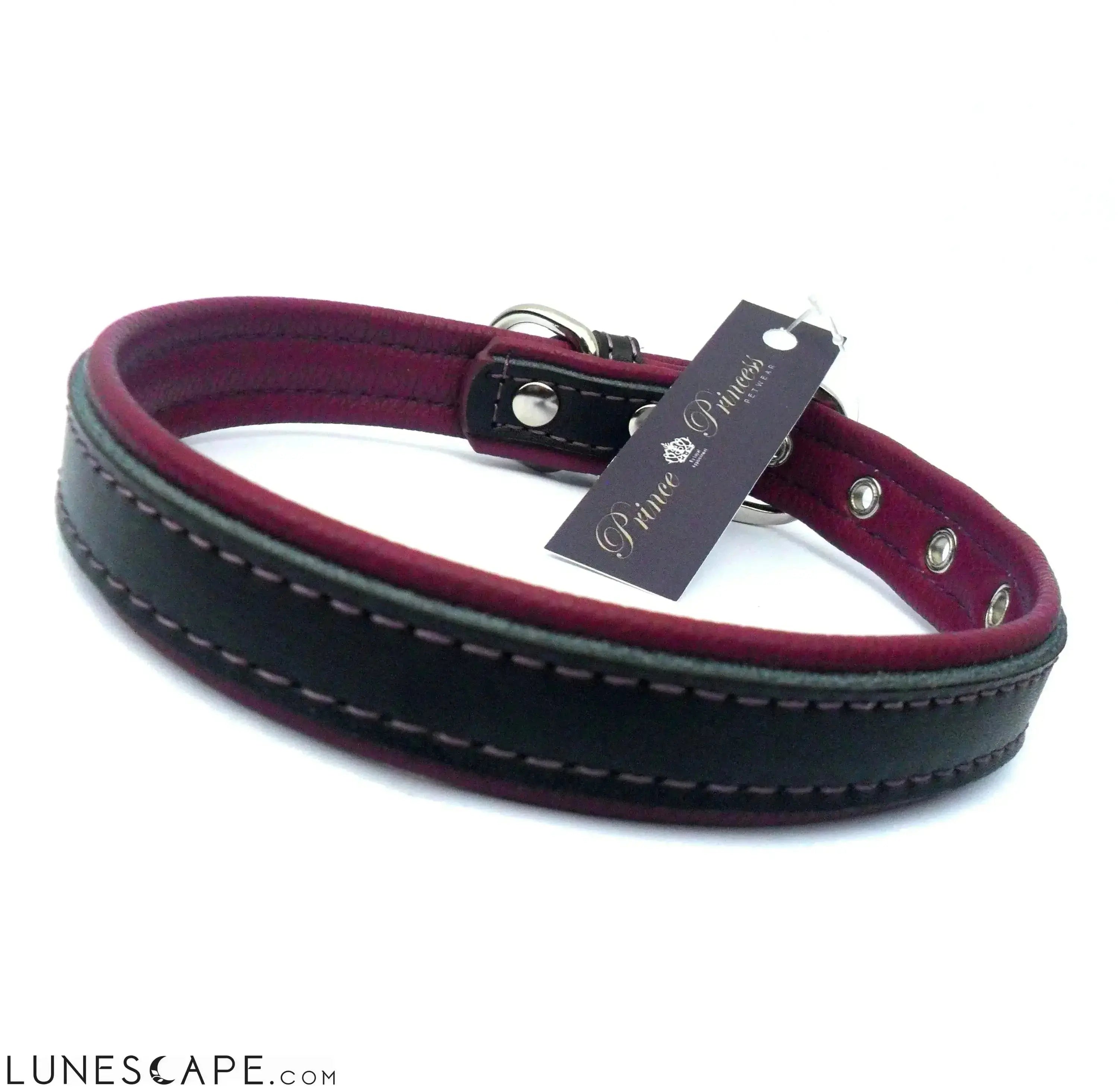 2-Layer Reinforced Vegan Leather Dog Collar LUNESCAPE