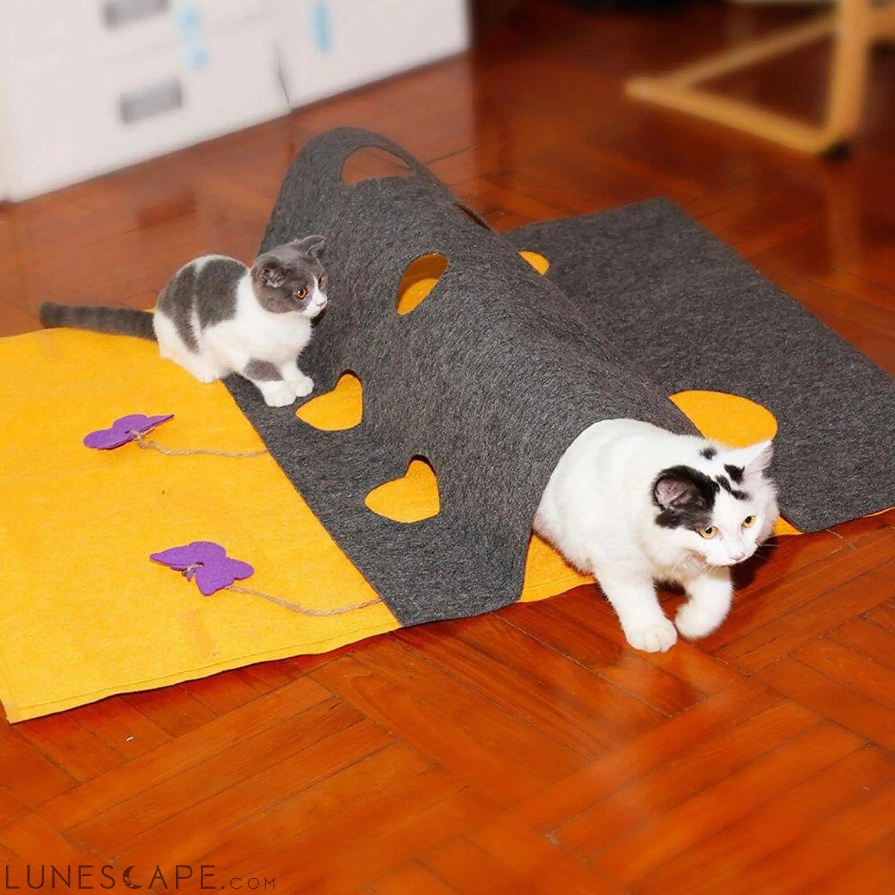 2-Piece Cozy Hide & Seek Kitty Activity Mat LUNESCAPE