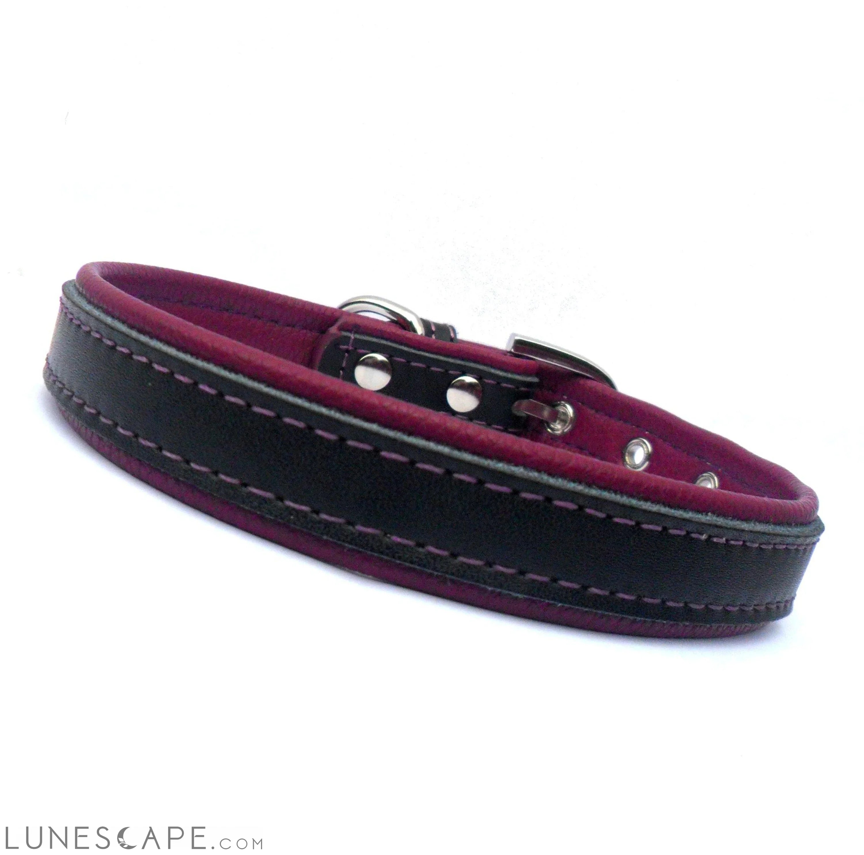 2-Layer Reinforced Vegan Leather Dog Collar LUNESCAPE