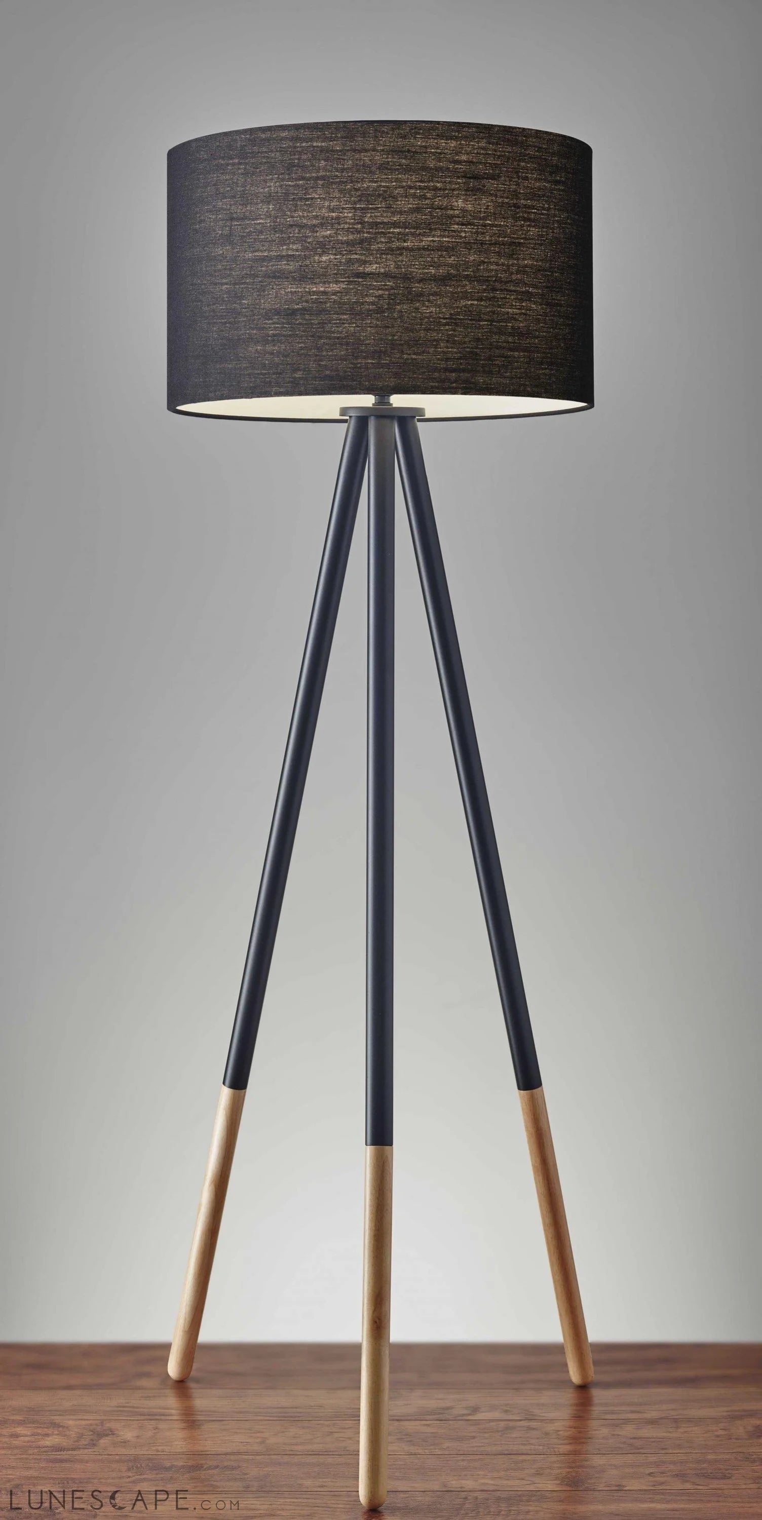 22" X 22" X 60.25" Black Metal Floor Lamp LUNESCAPE