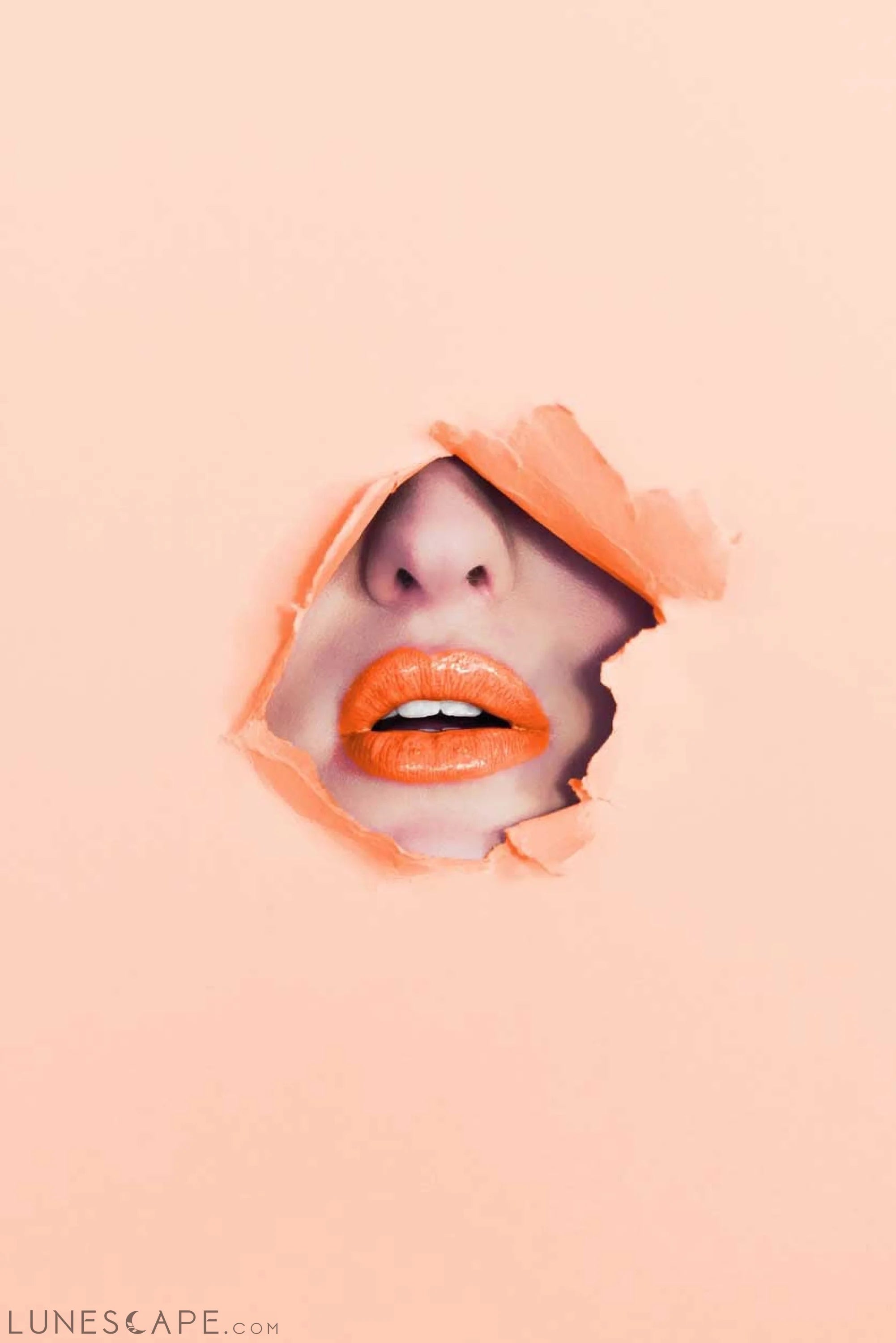 2882Beauty™ The Glossary Perfect Plump Lip Gloss - AMOROUS LUNESCAPE