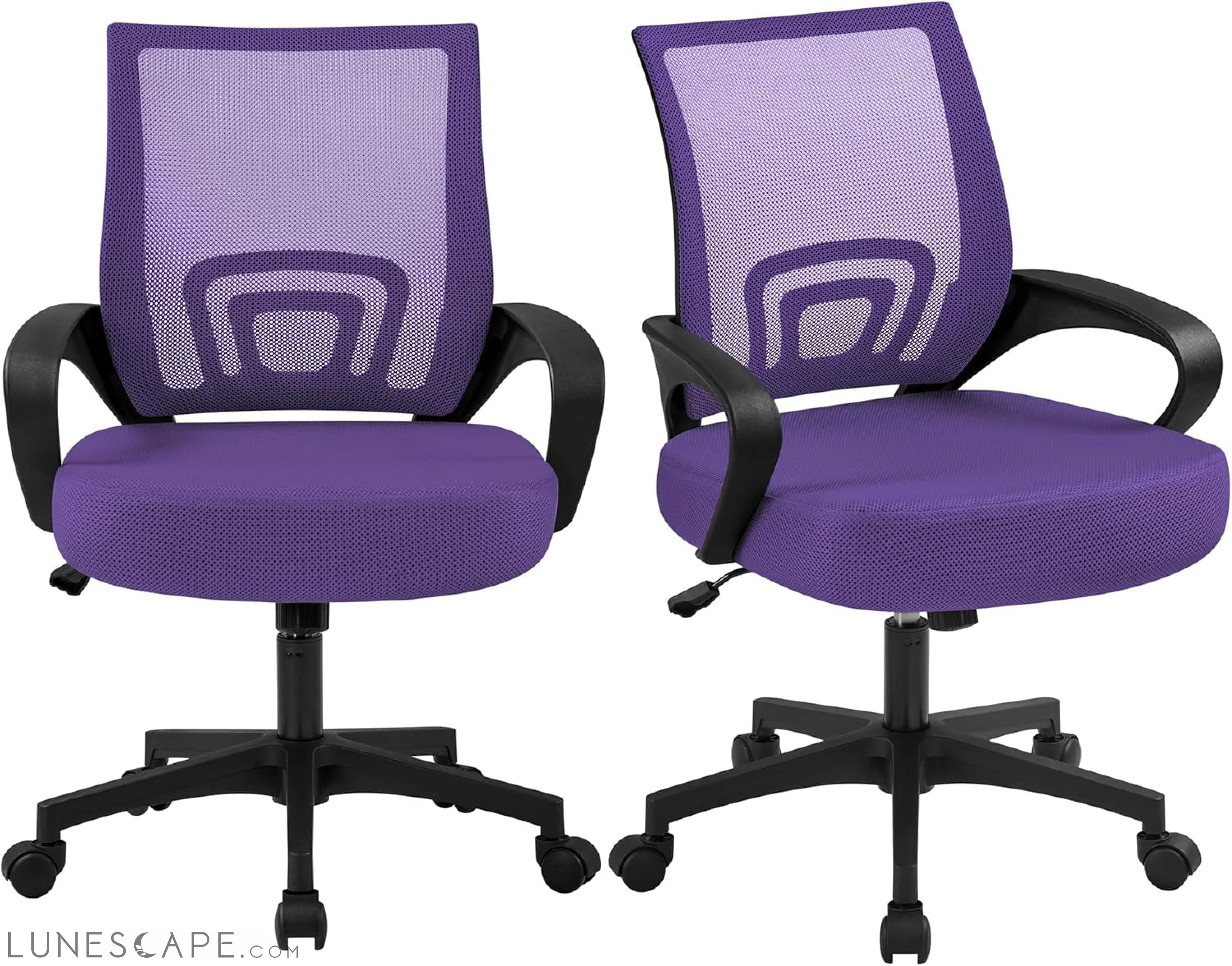 2Pcs Mesh Adjustable Desk Chairs, Ergonomic Executive Chairs with LUNESCAPE