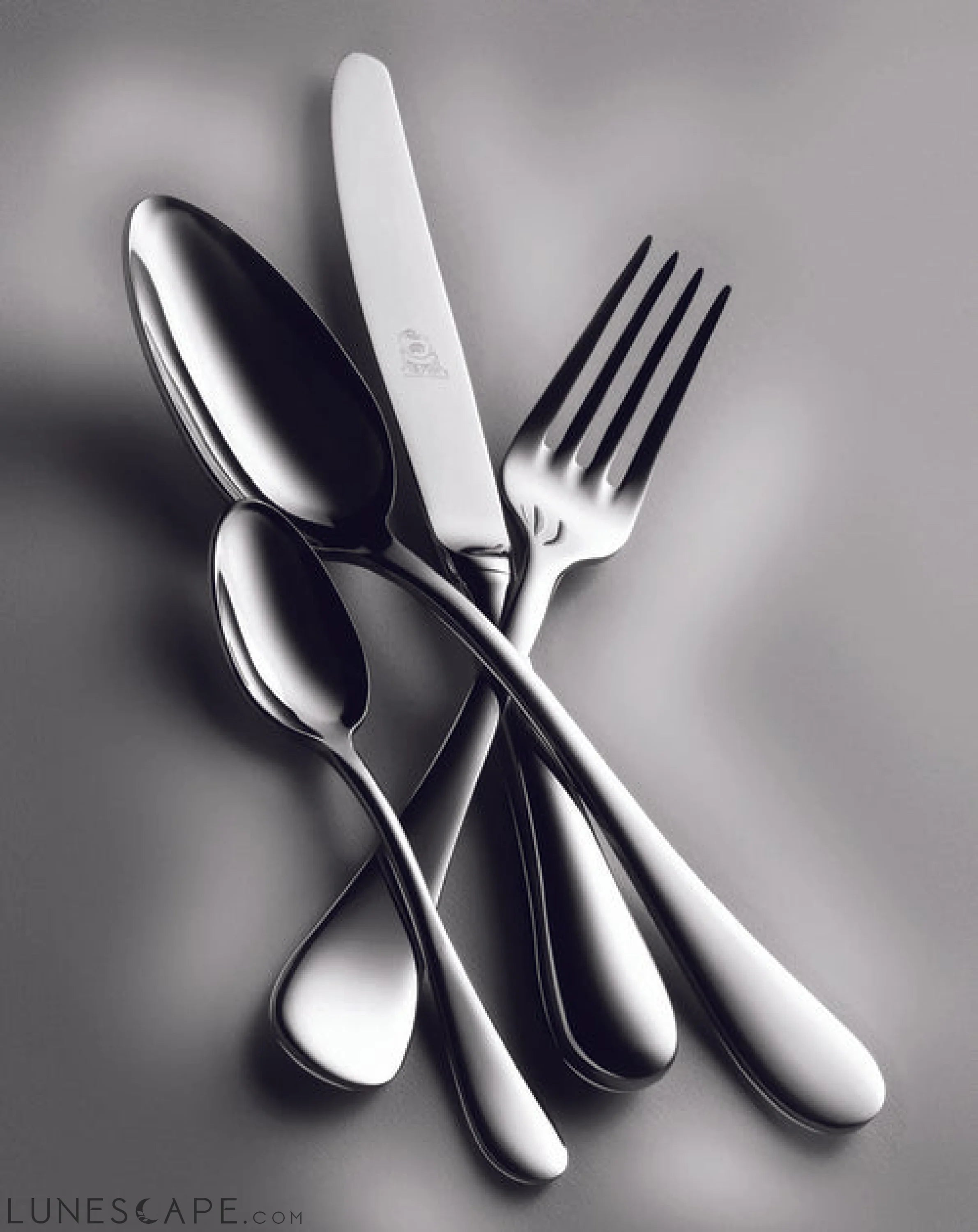 3 Pcs Serving Set (Fork Spoon and Ladle) BRESCIA LUNESCAPE