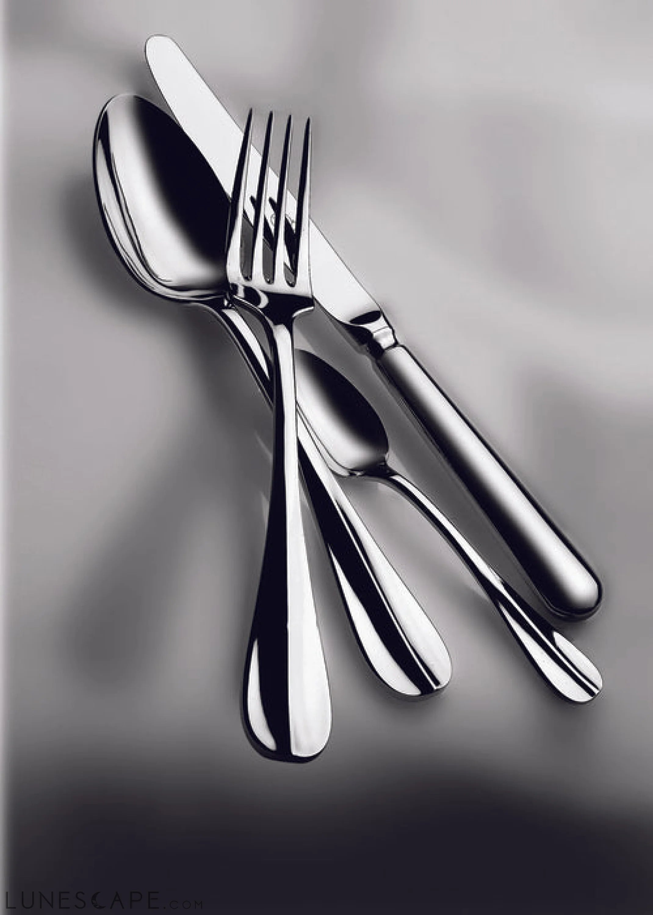 3 Pcs Serving Set (Fork Spoon and Ladle) ROMA LUNESCAPE