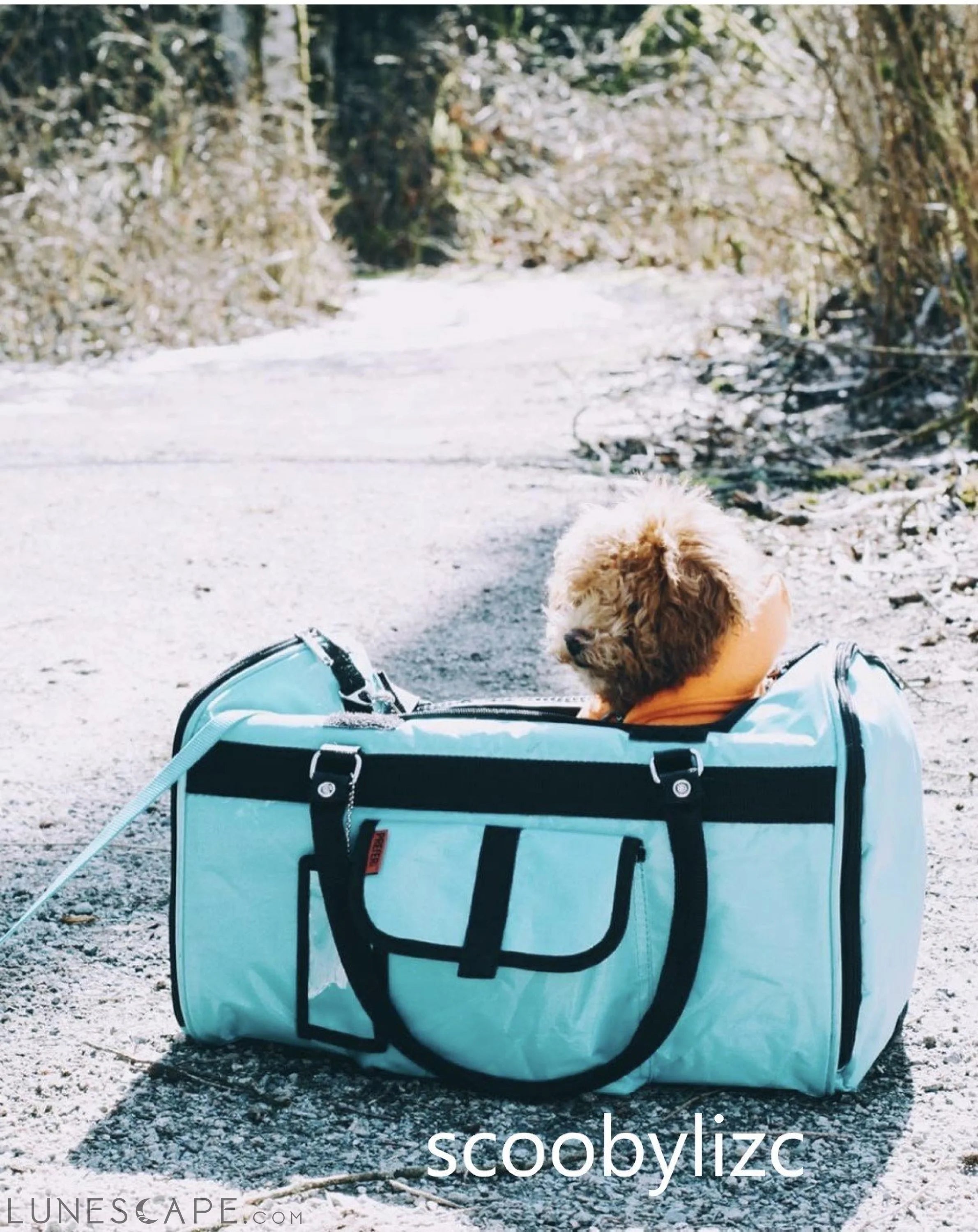 312 Hideaway™ Duffel - Pet Carrier LUNESCAPE