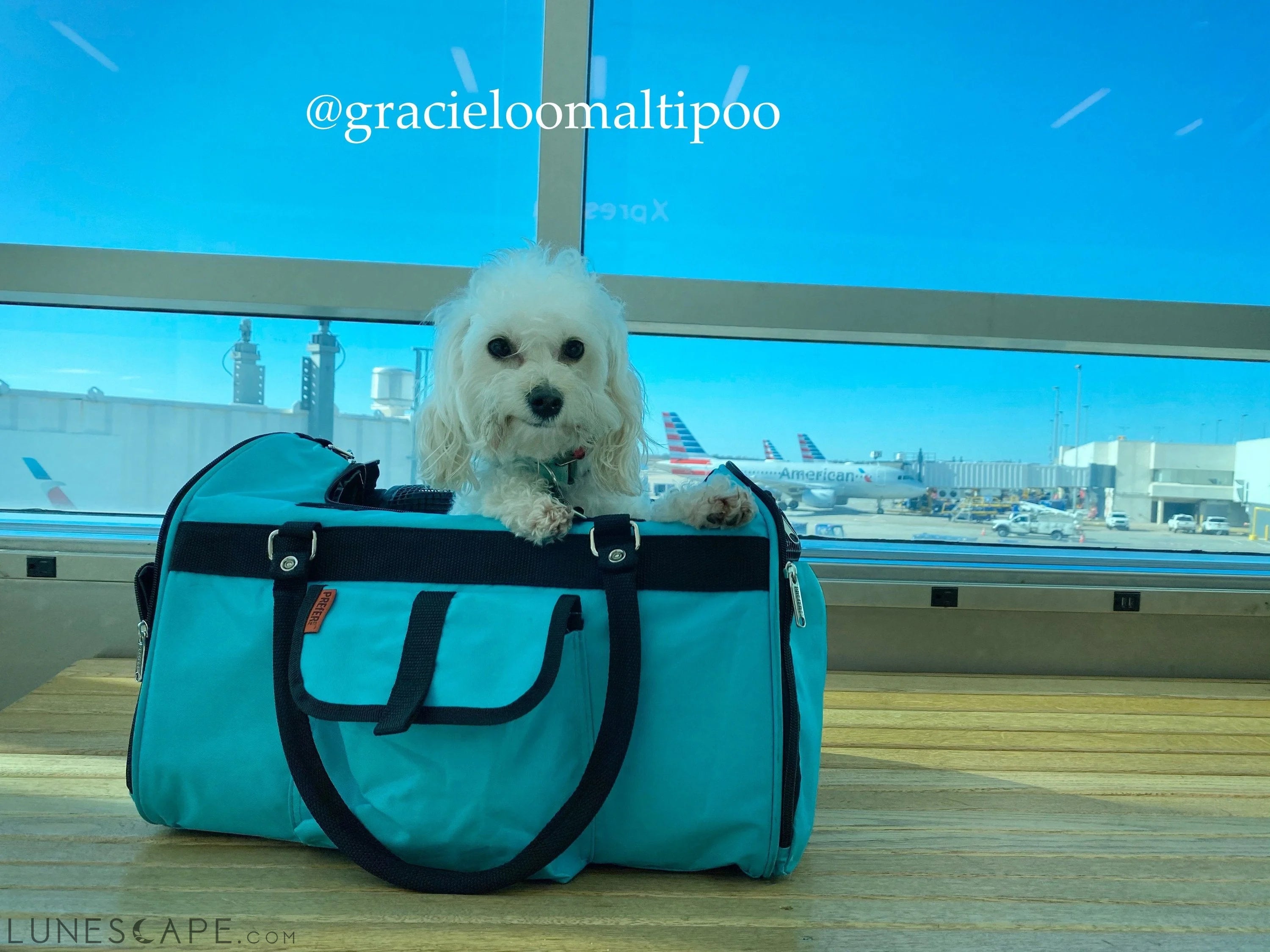 312 Hideaway™ Duffel - Pet Carrier LUNESCAPE